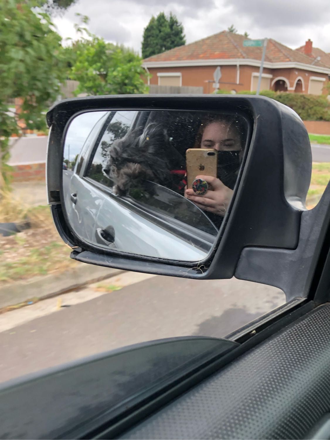image-9