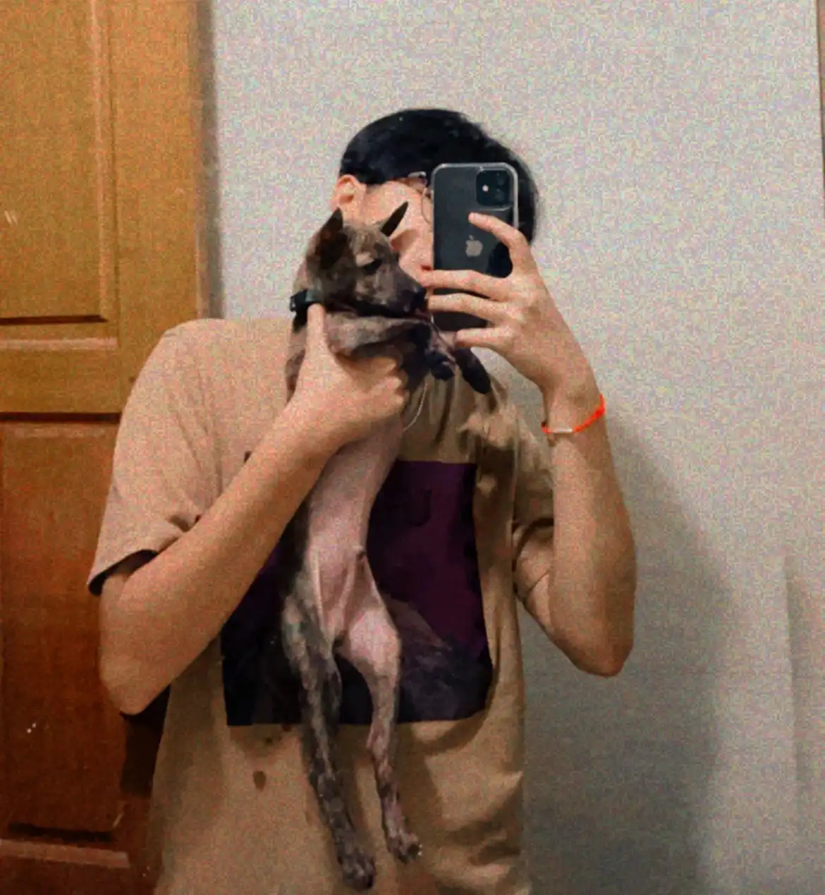 image-5