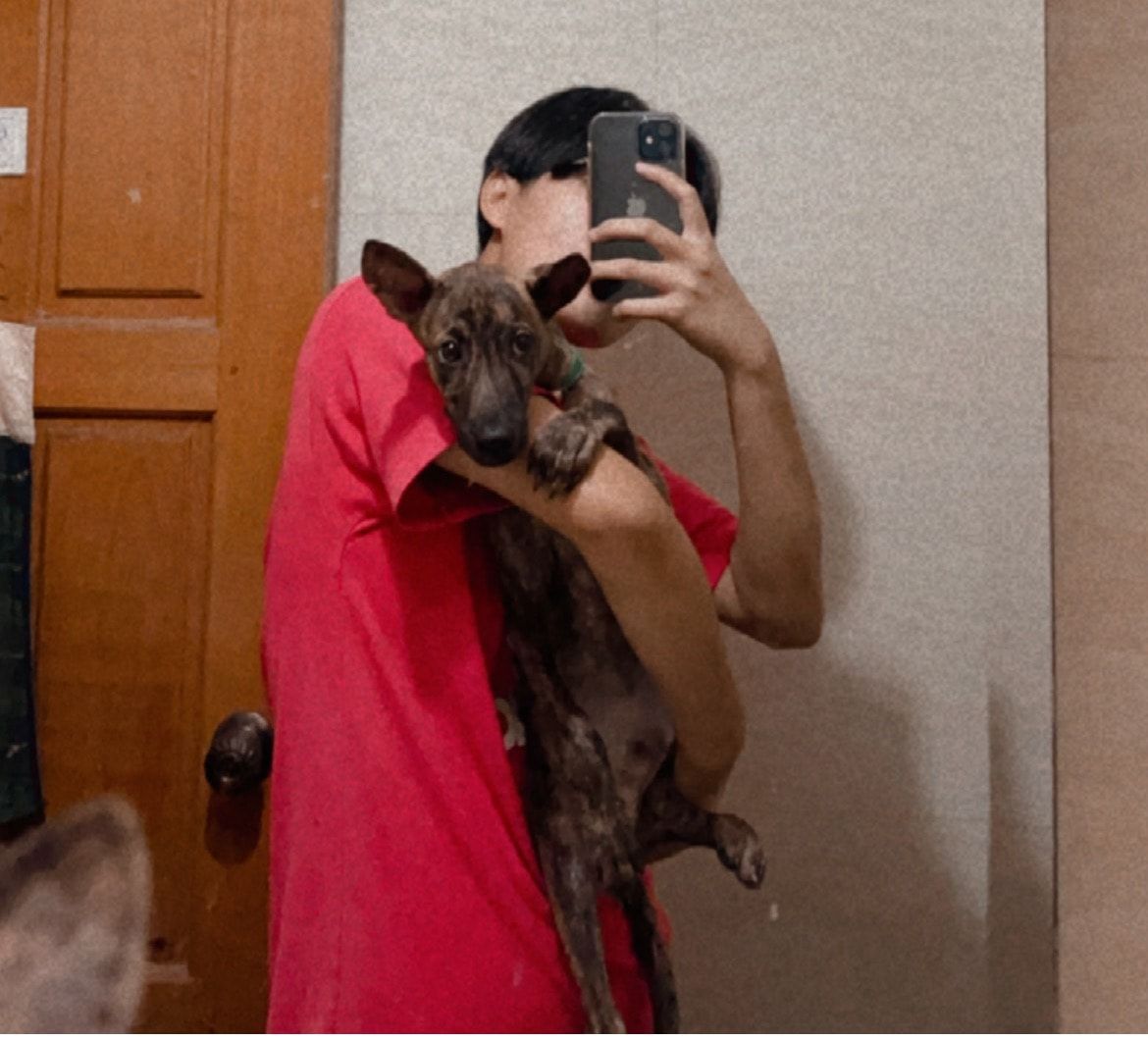 image-4