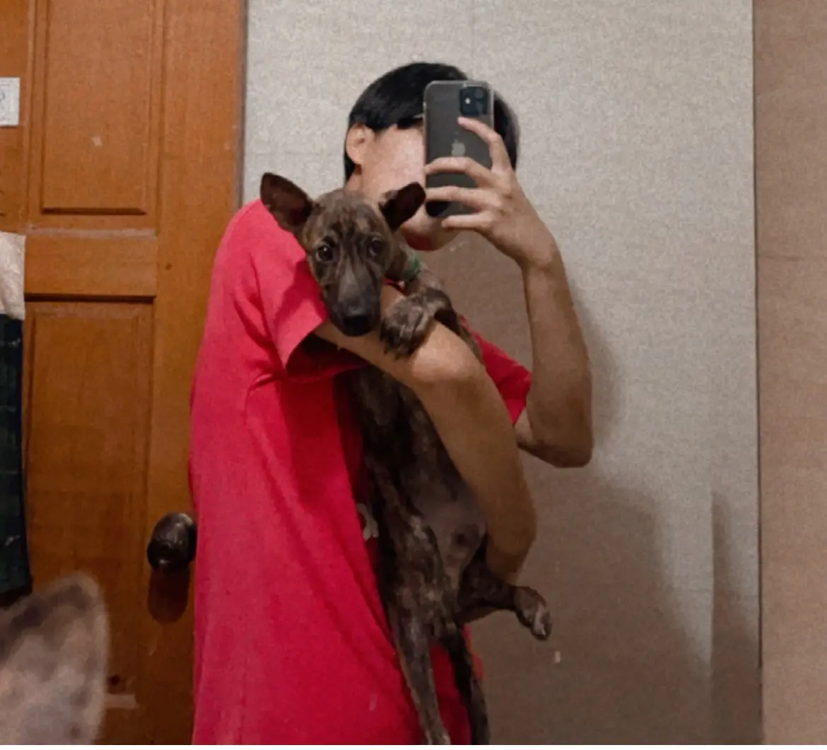 image-4
