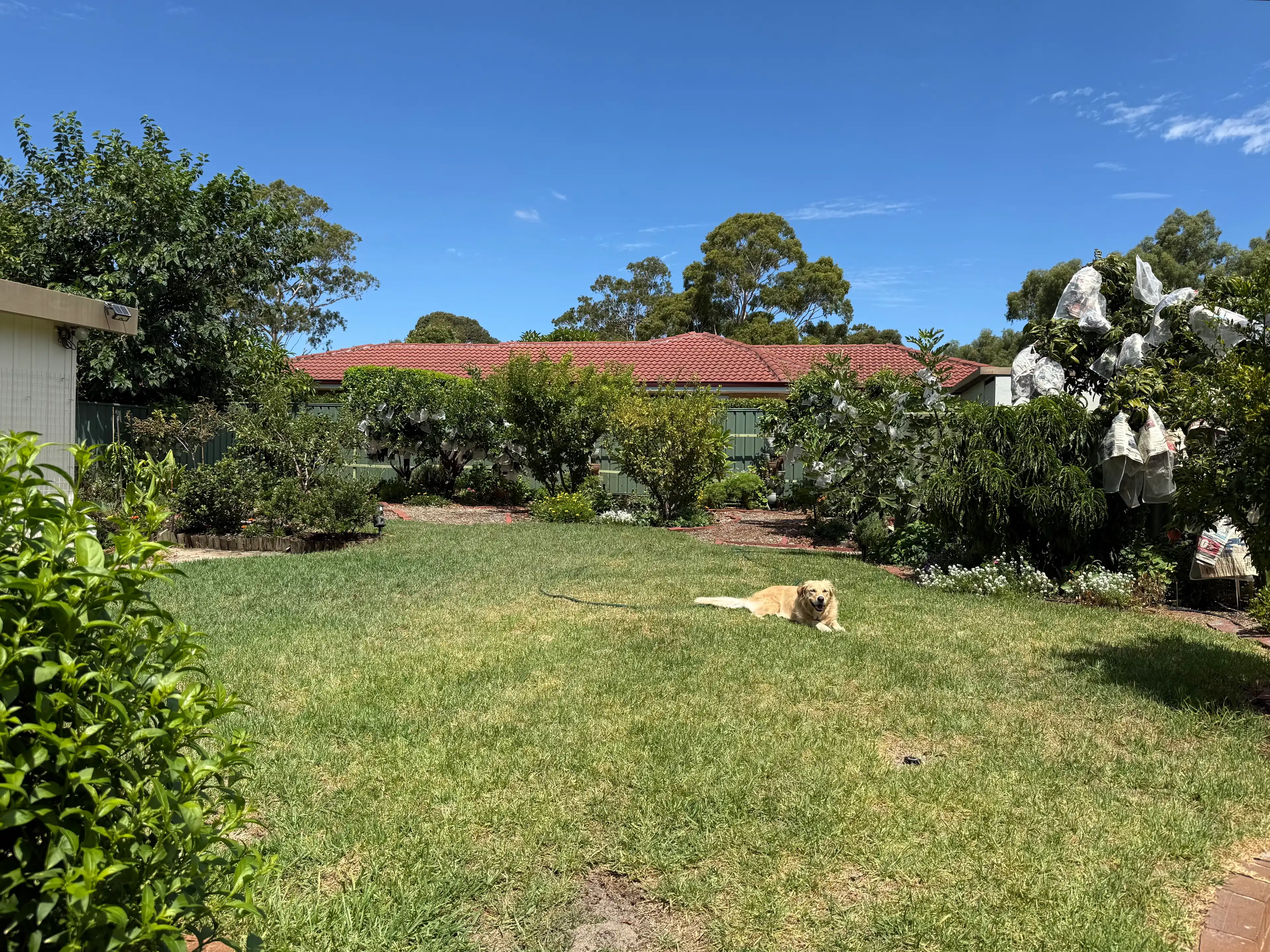 image-18