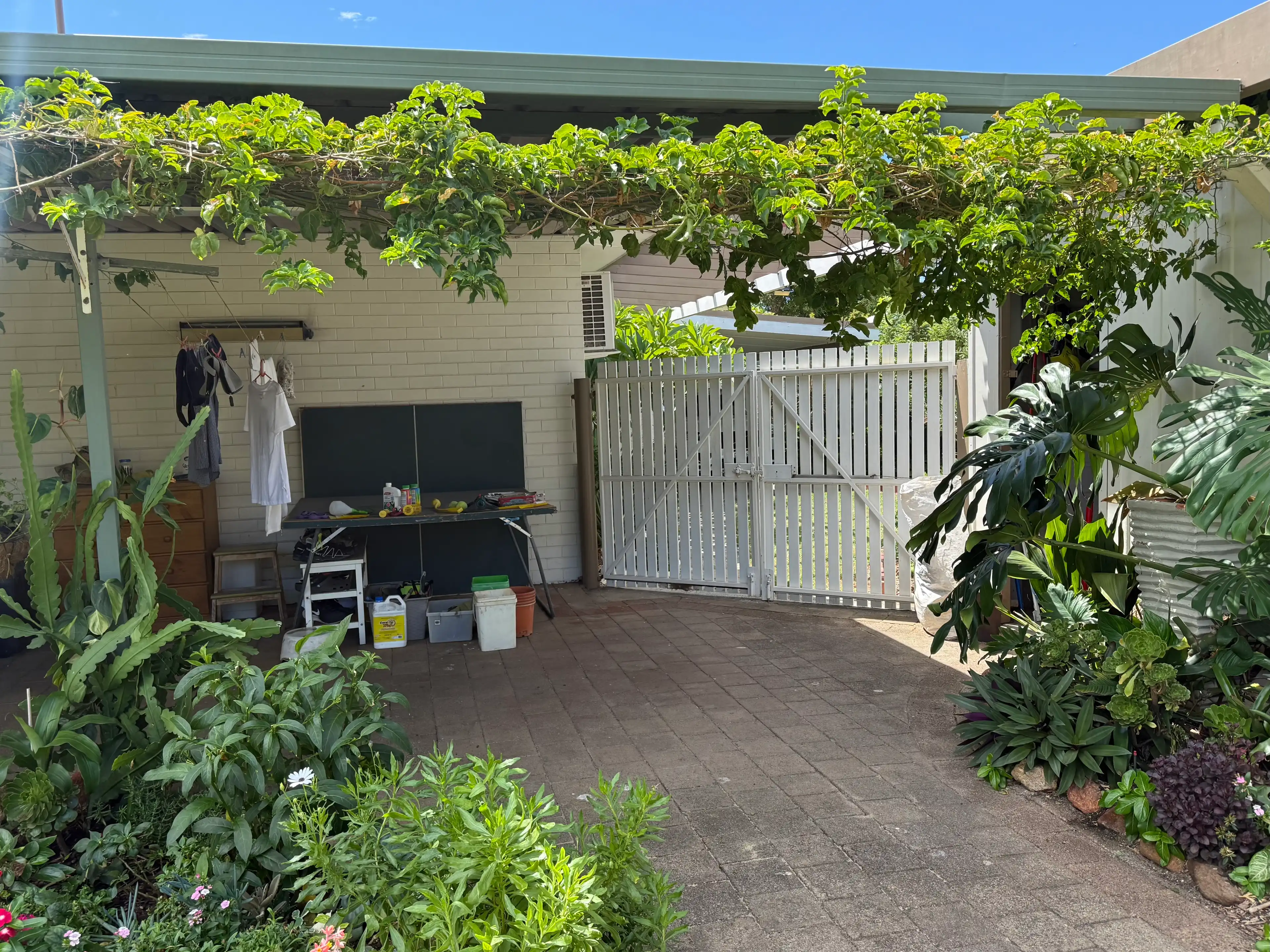 image-19