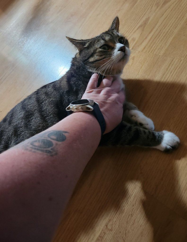 image-7