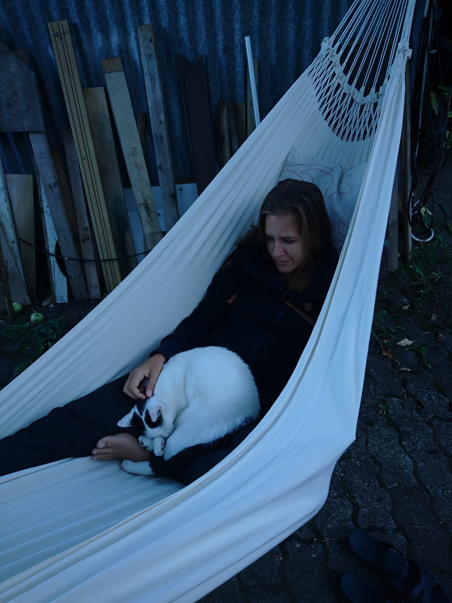 image-4