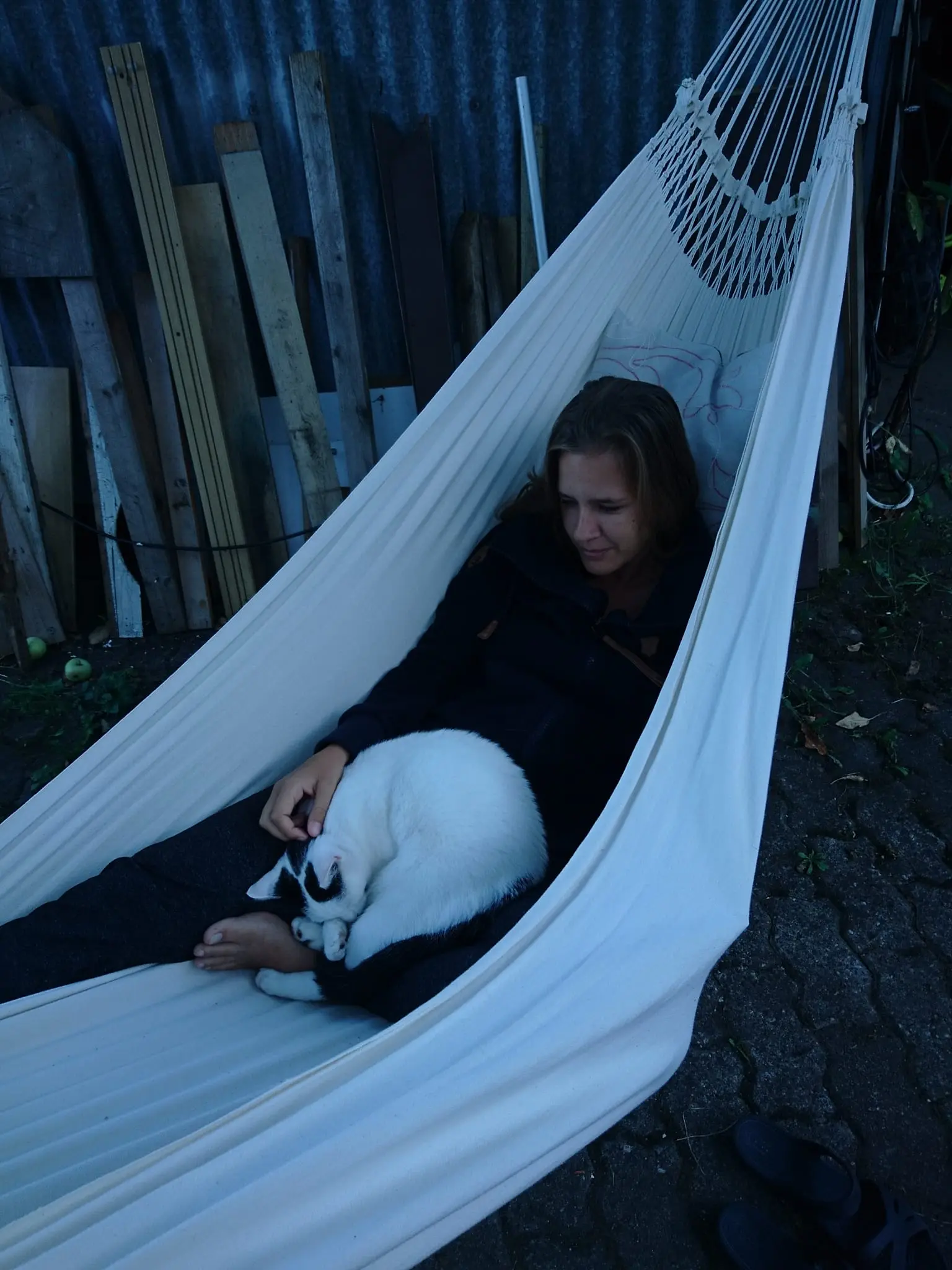image-4