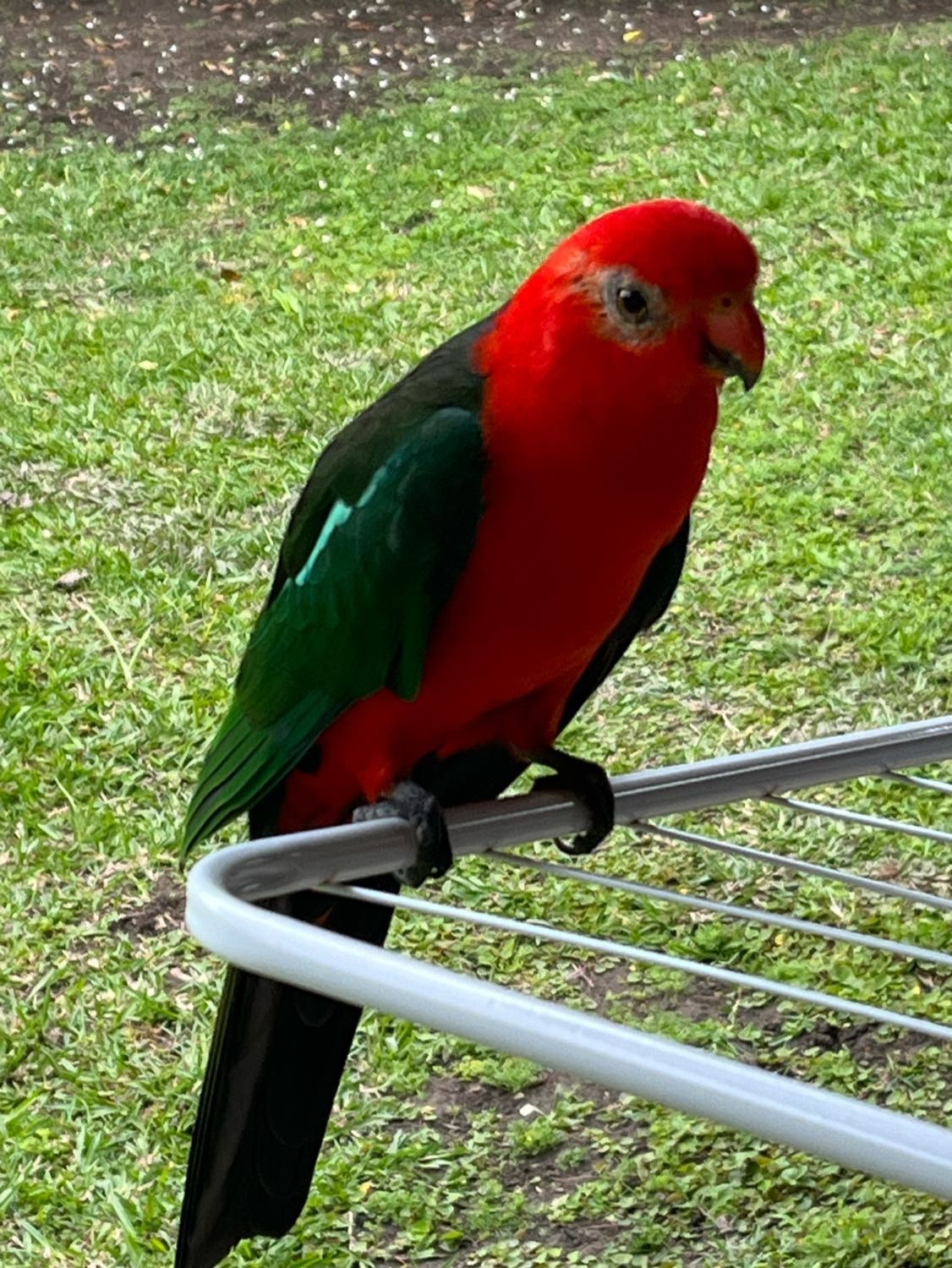 image-3