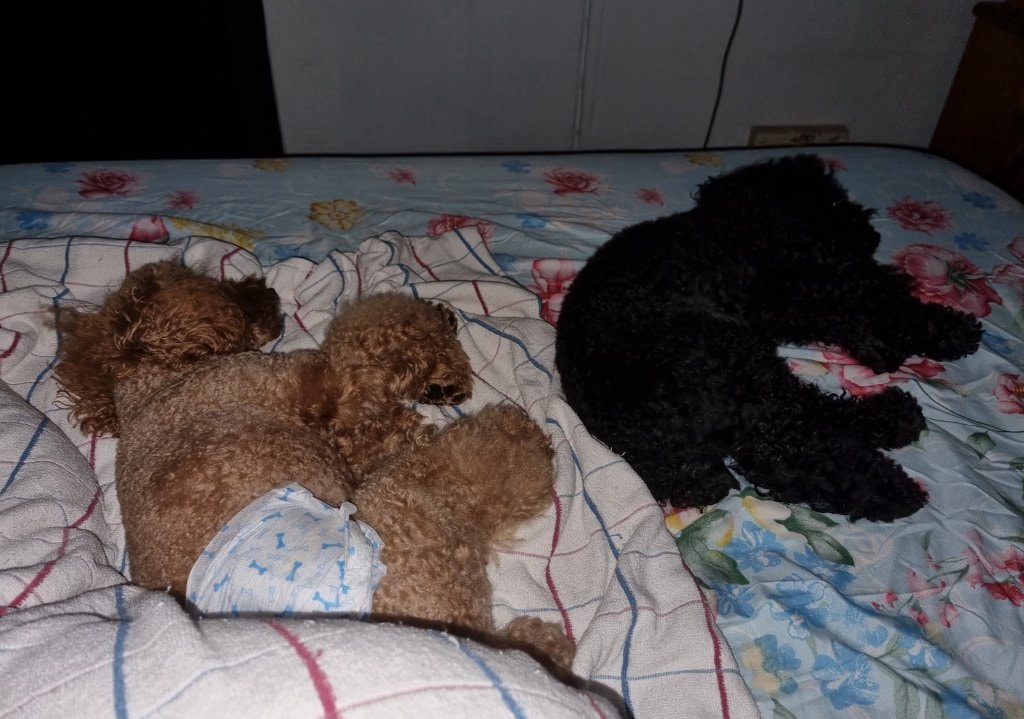image-12