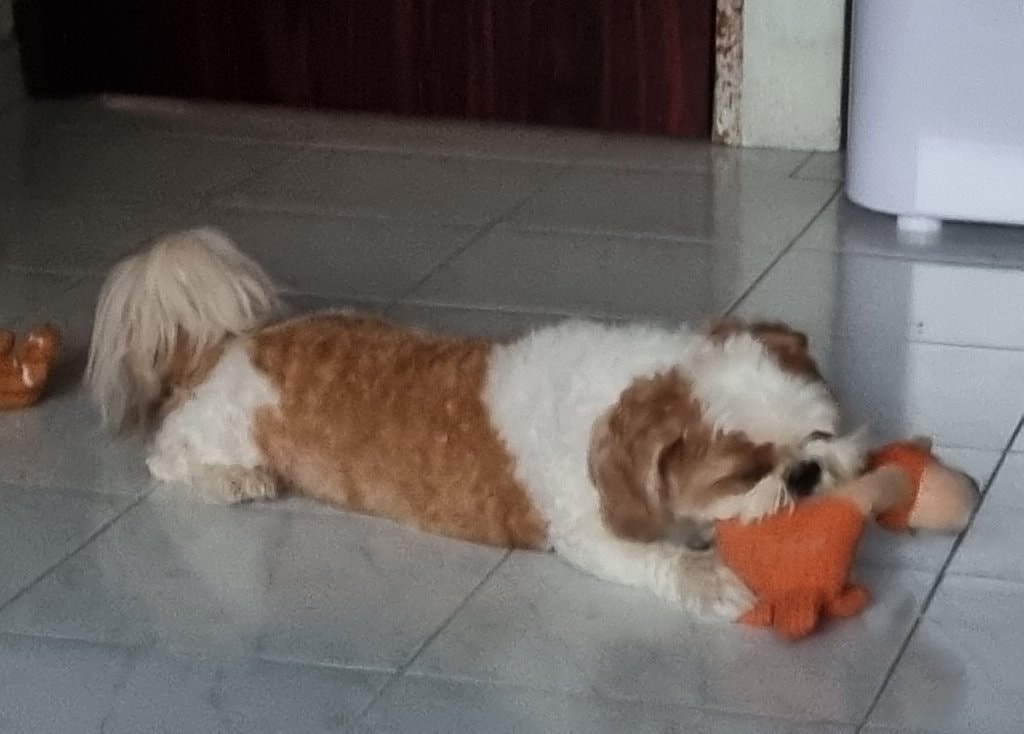 image-7