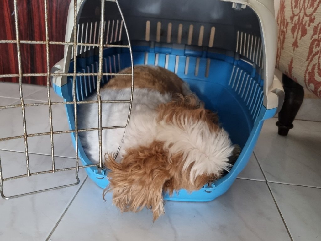image-6
