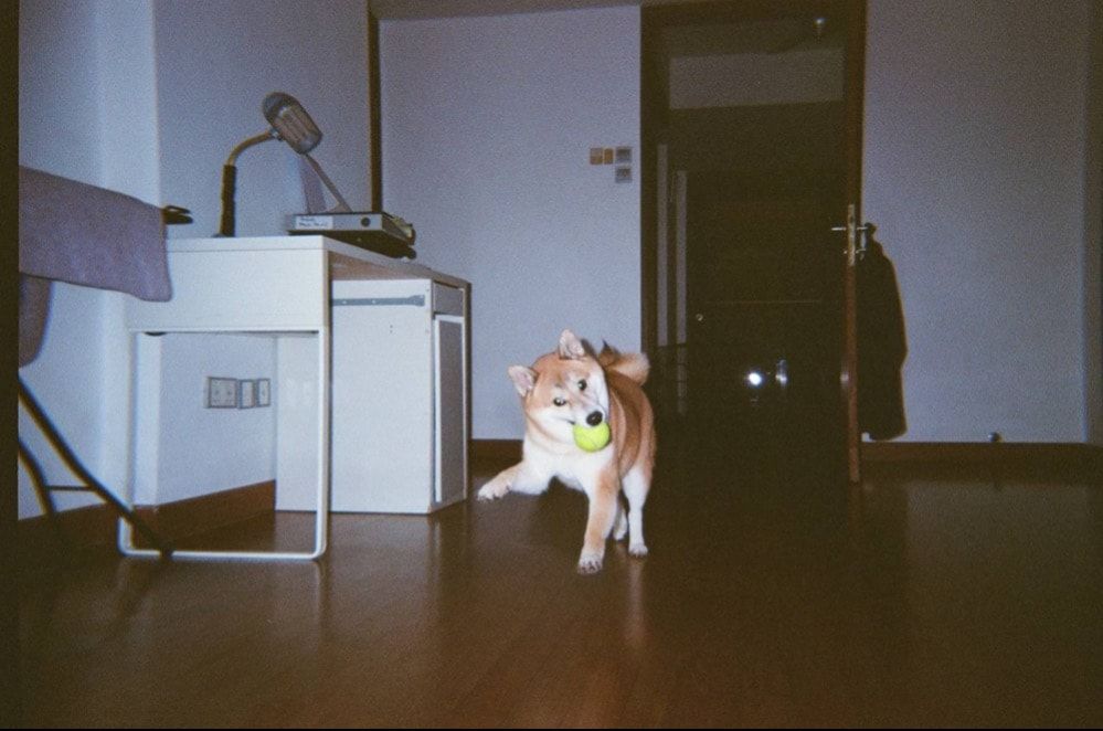 image-2