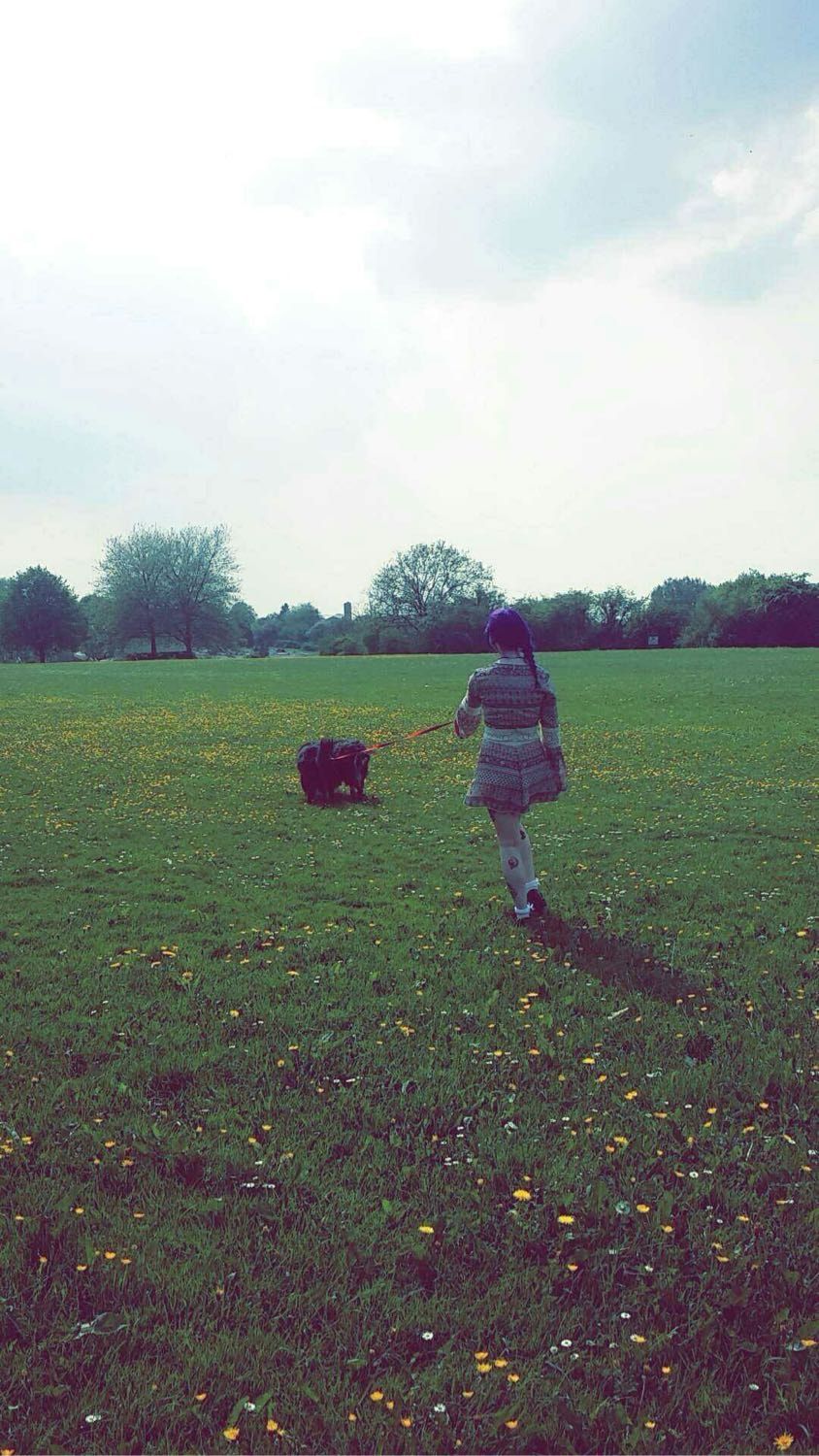image-4
