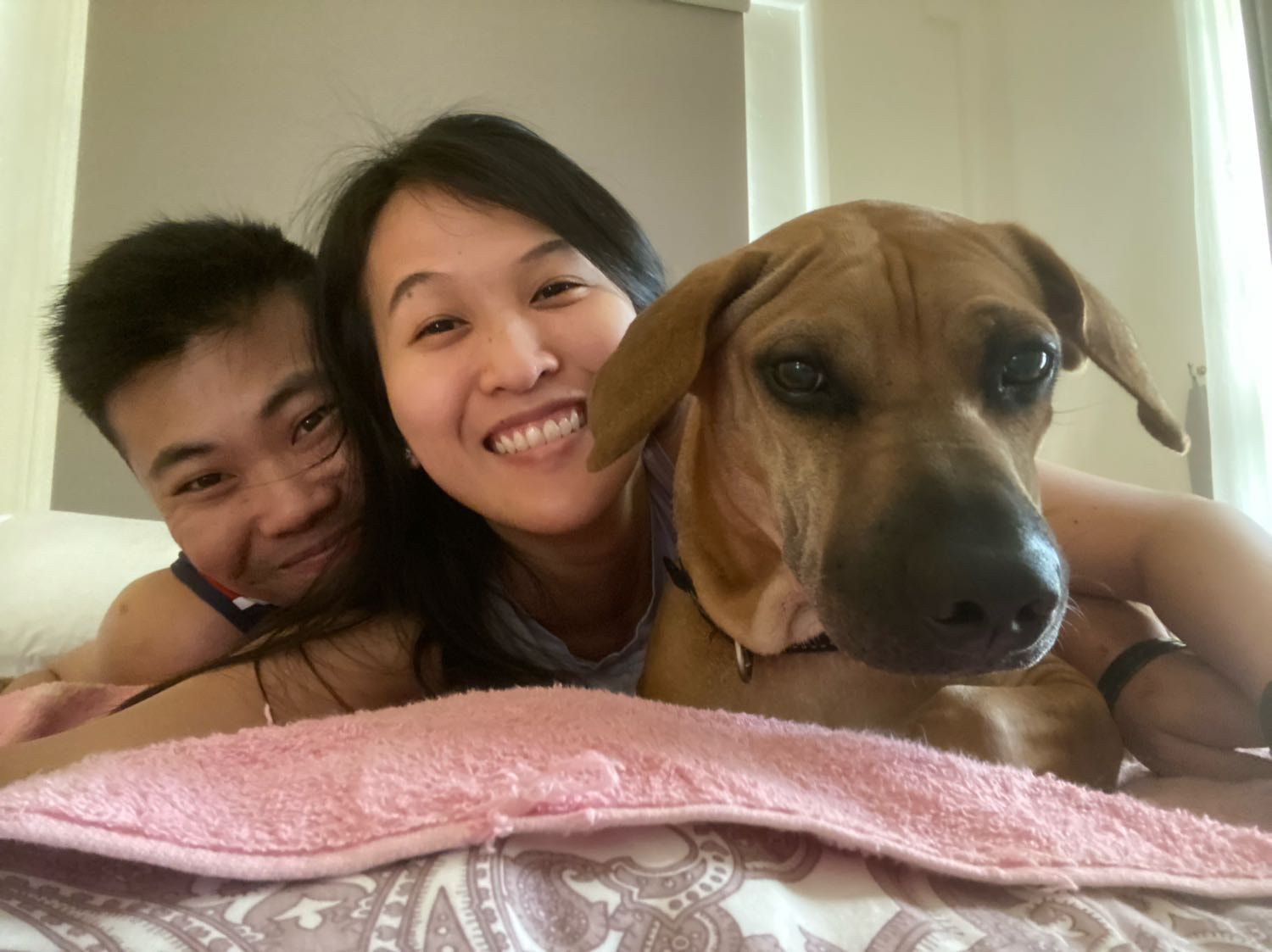image-10