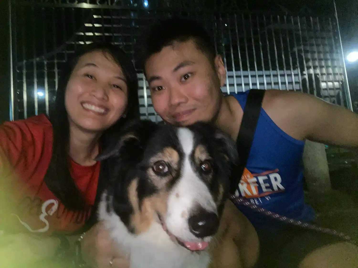 image-8