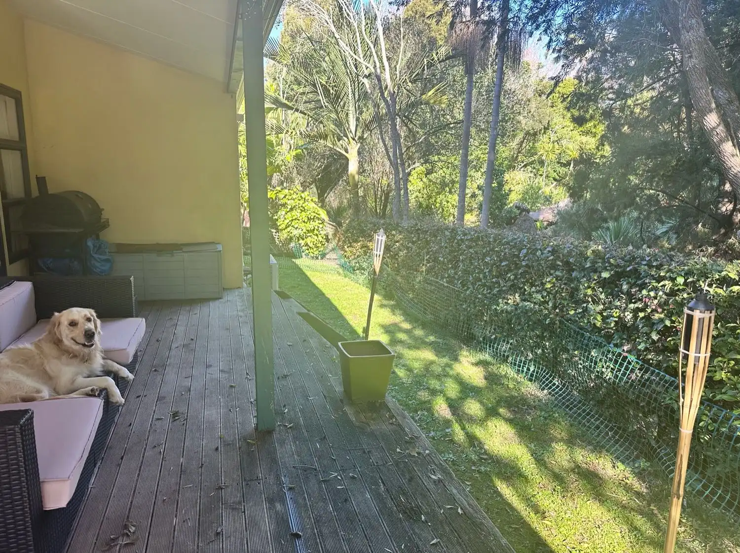 image-17