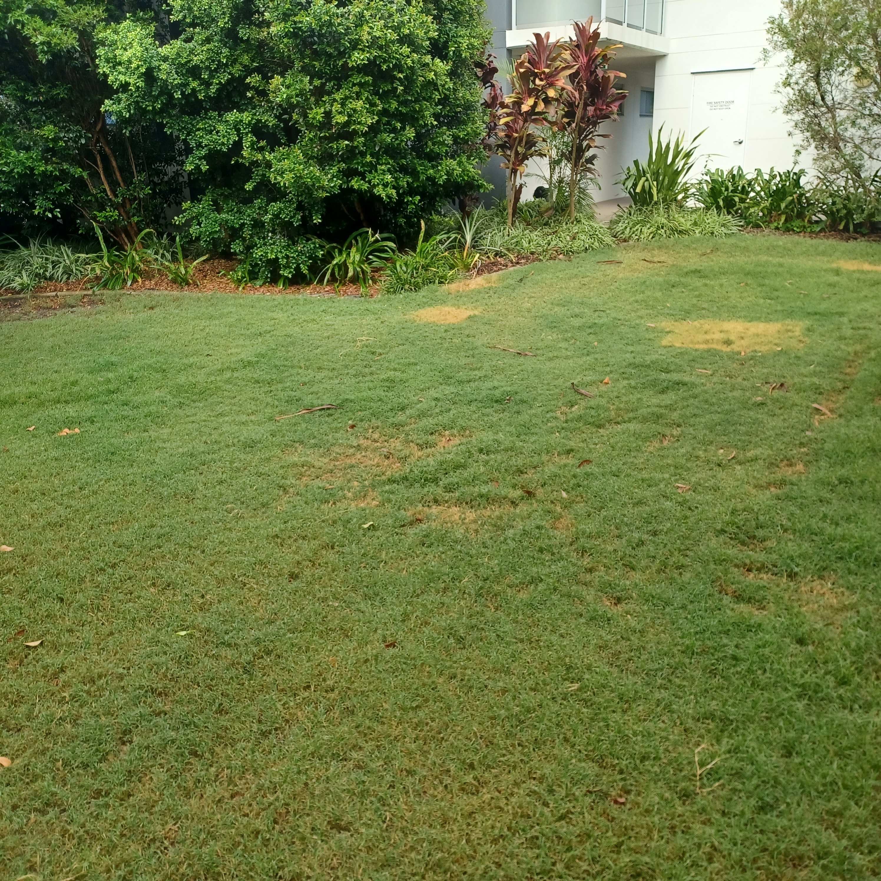 image-11