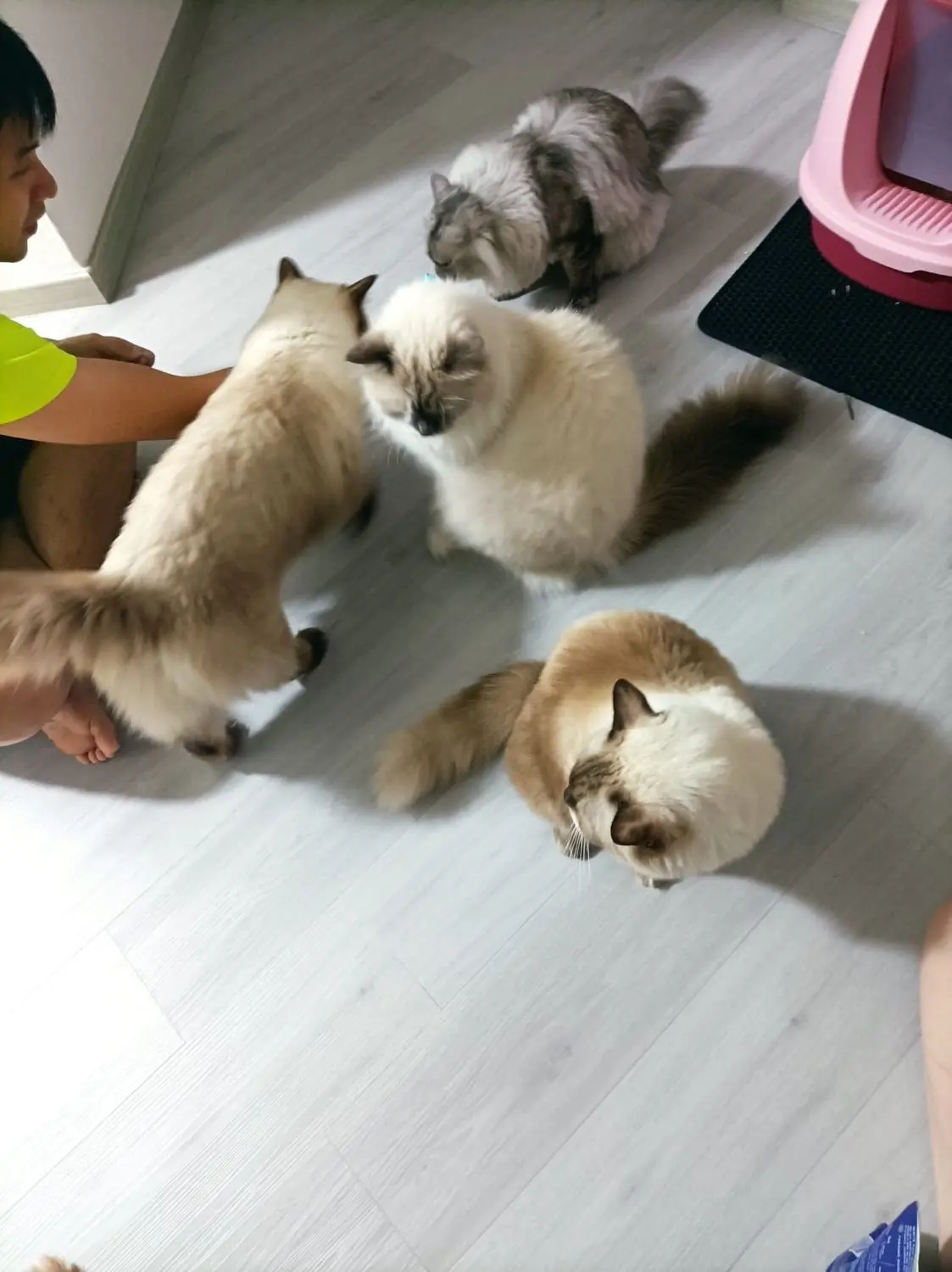 image-4