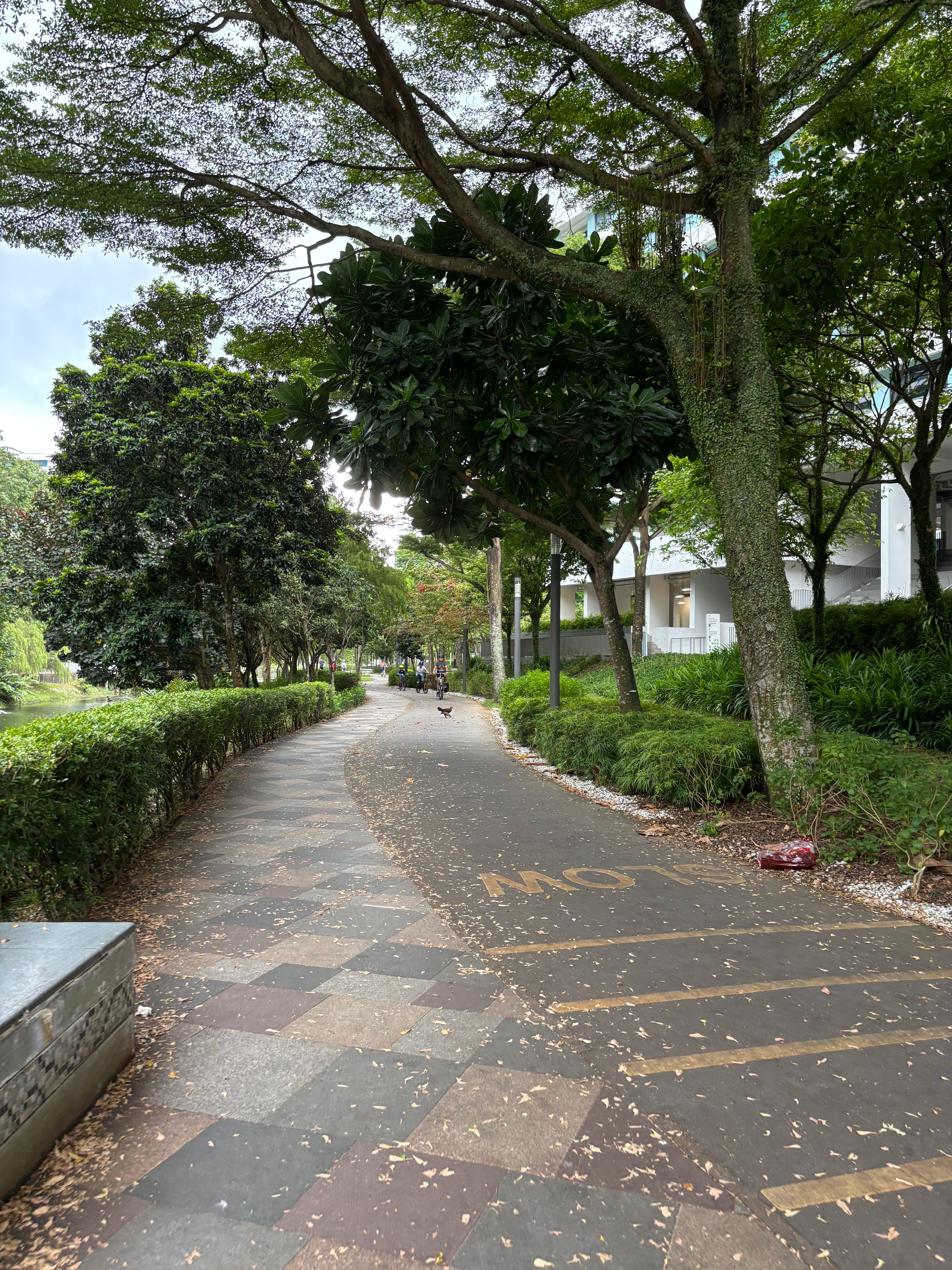 image-13