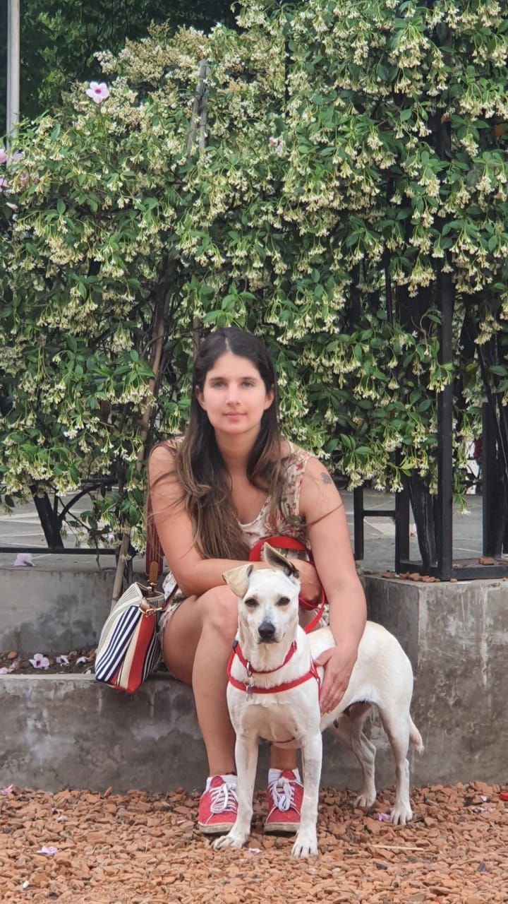 image-6