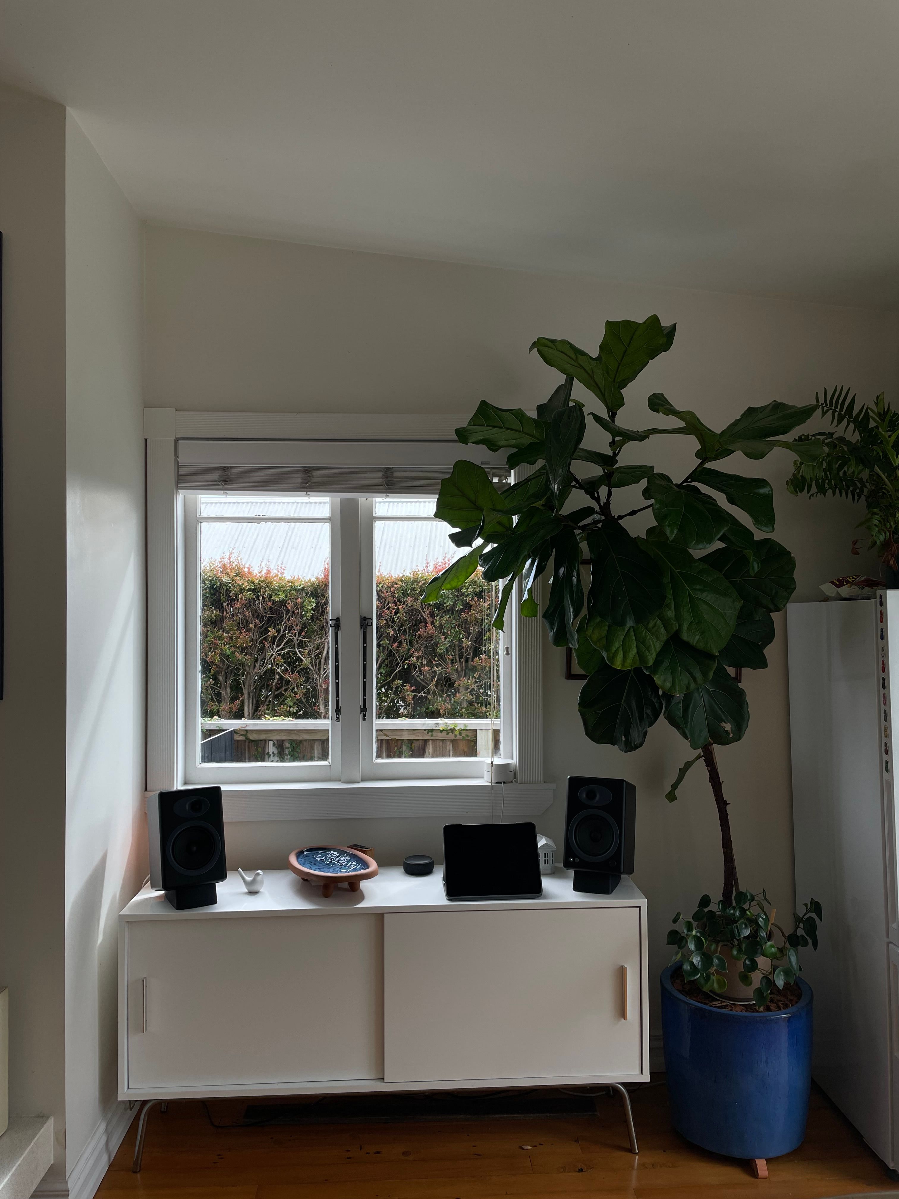 image-14