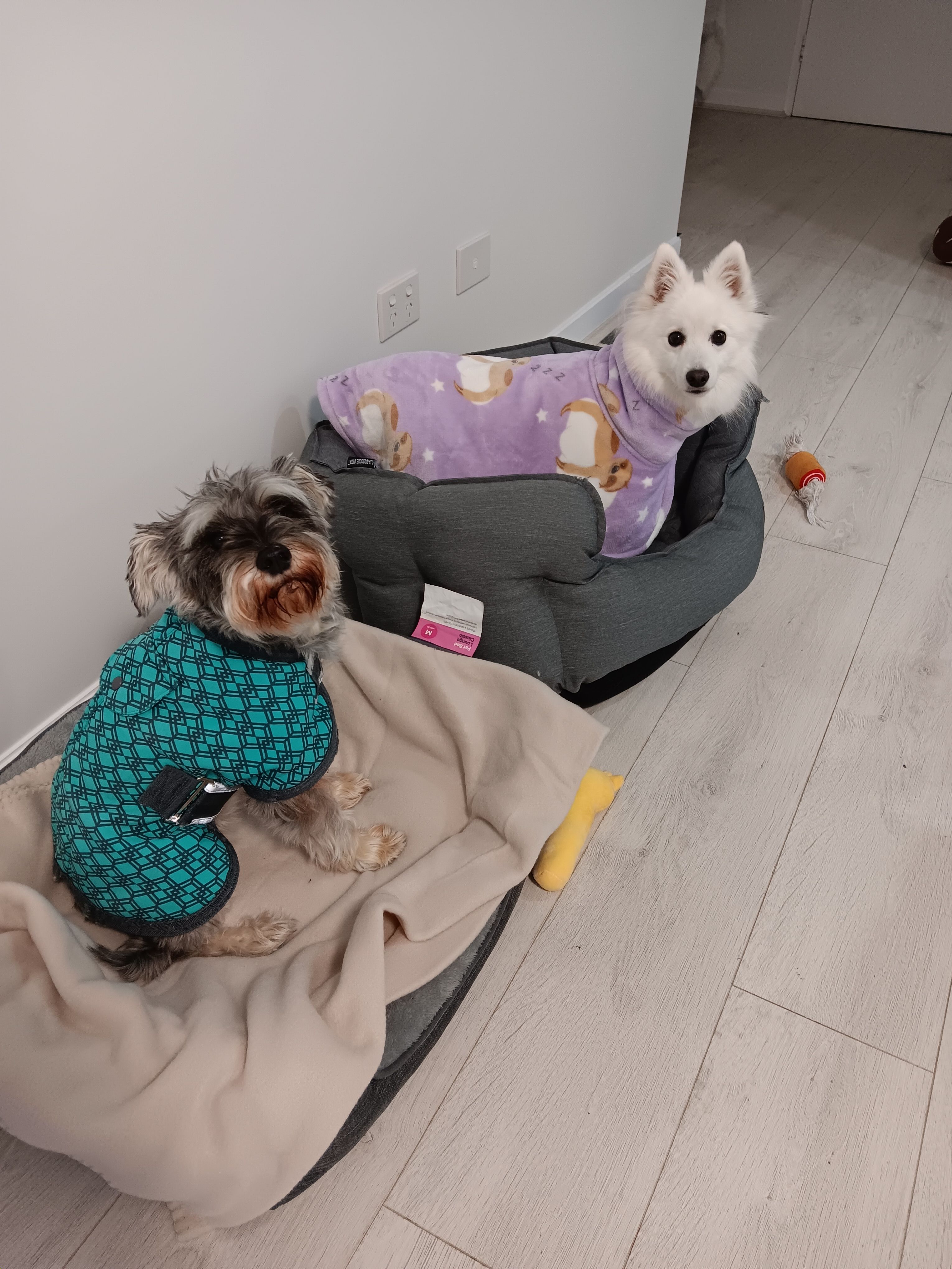 image-7