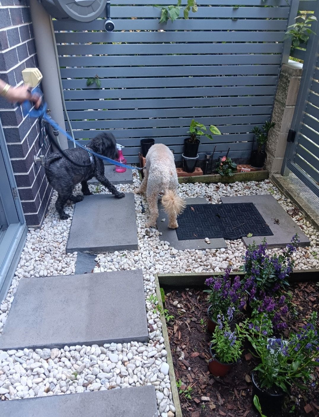 image-10