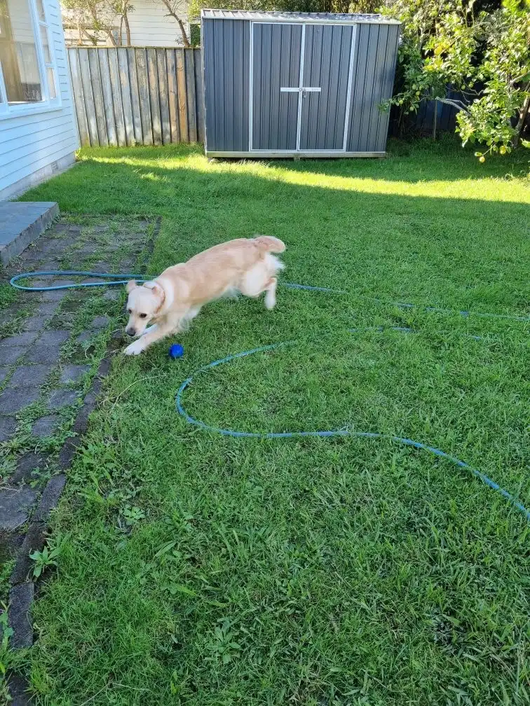 image-9