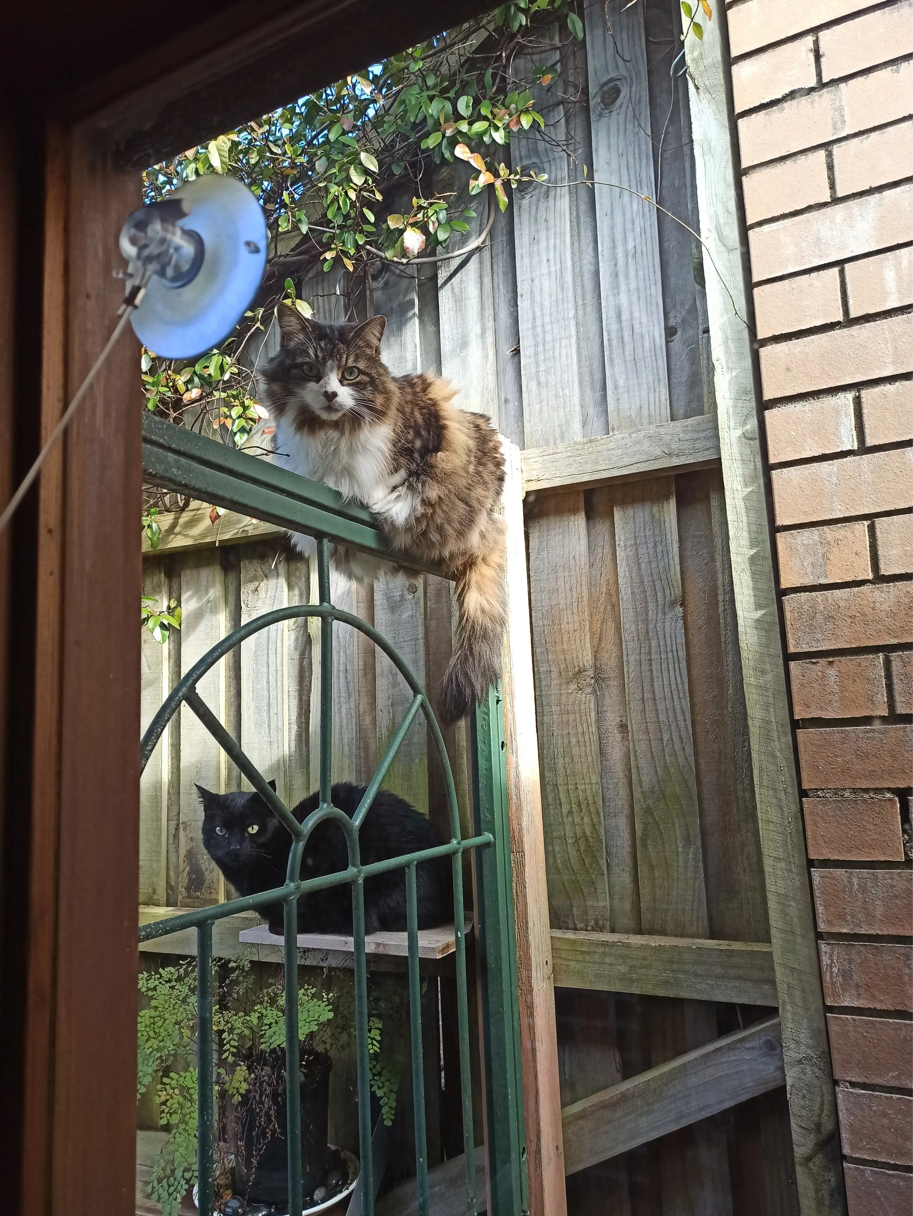 image-5