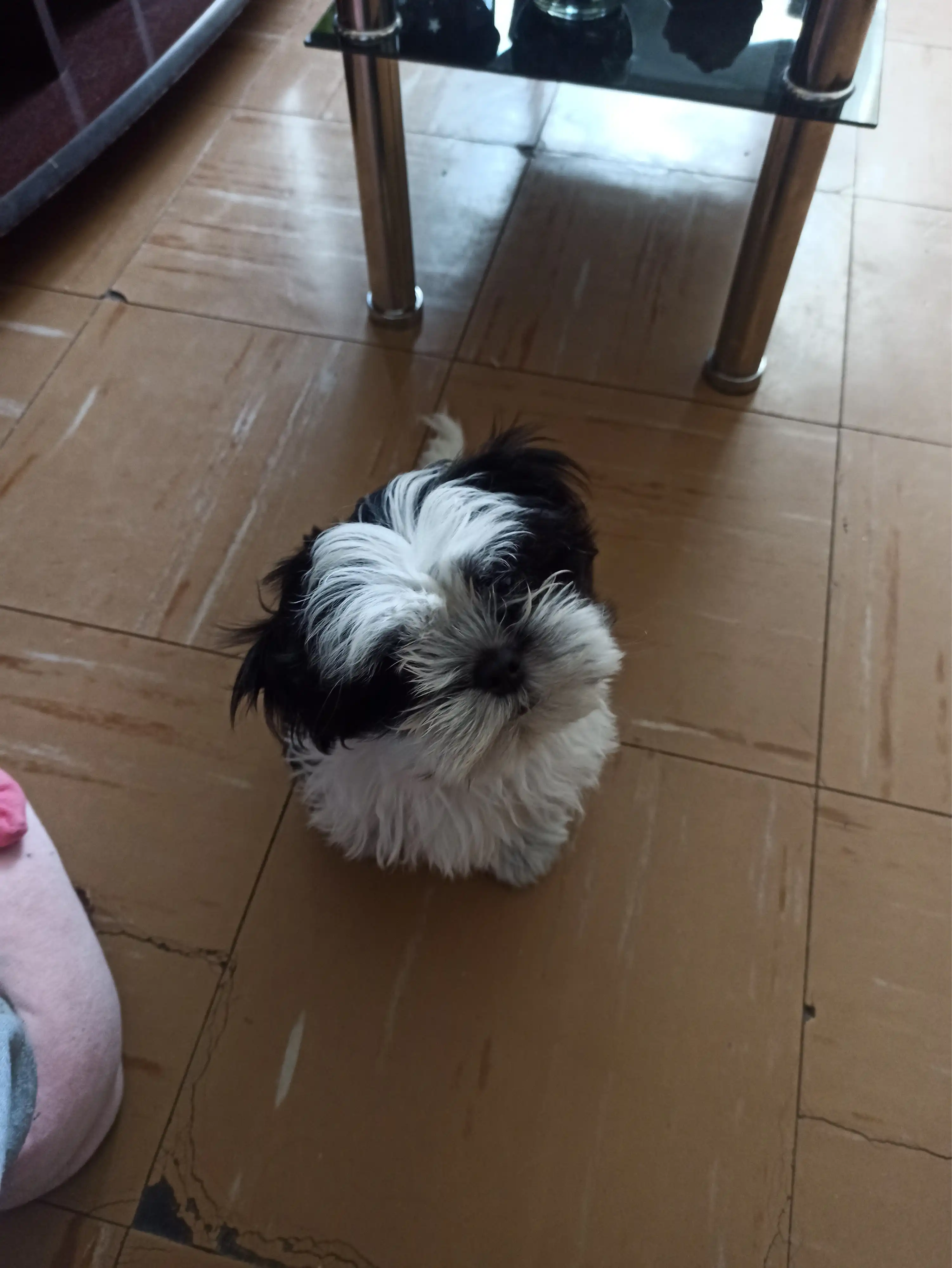 image-7