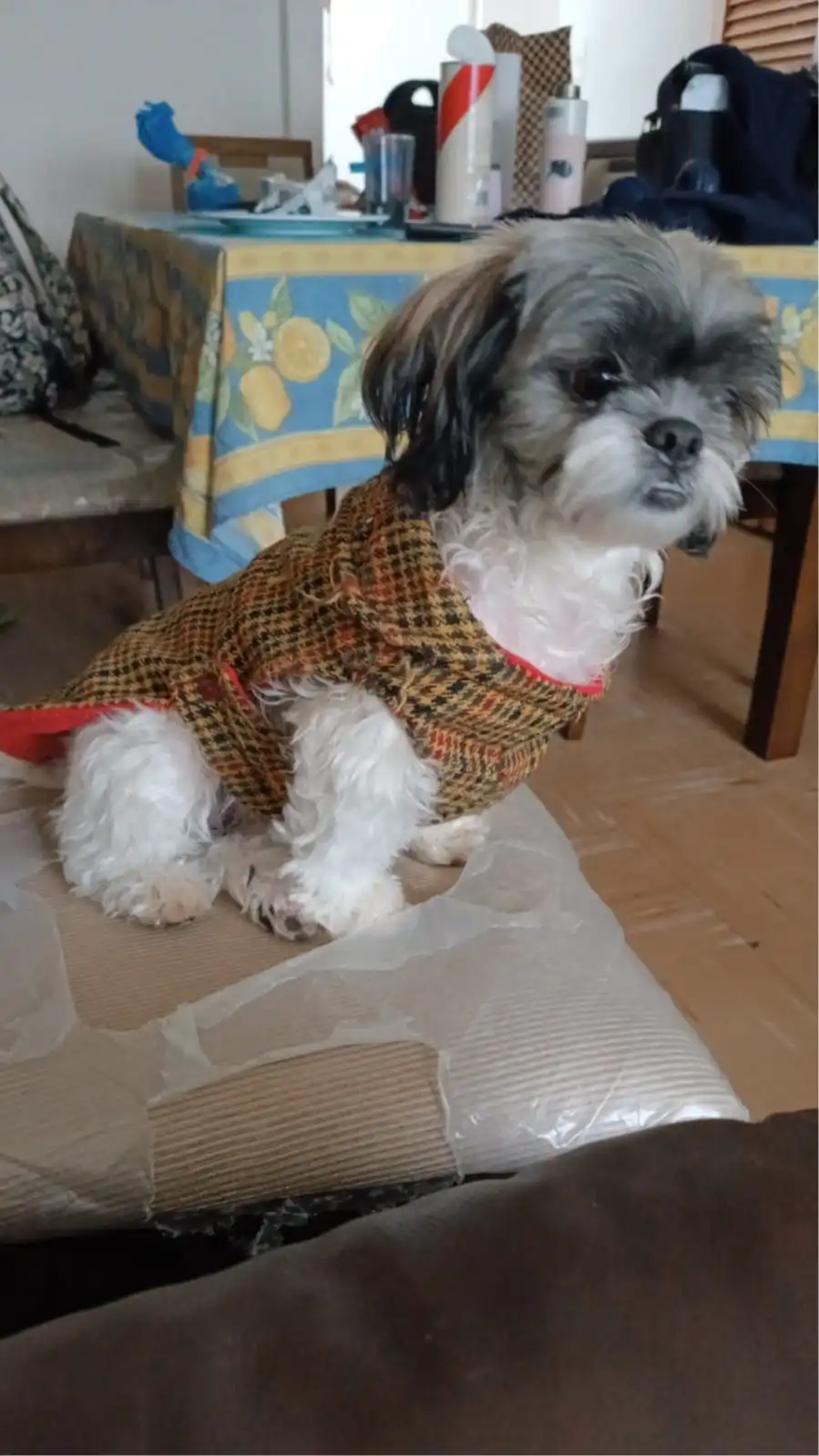 image-6