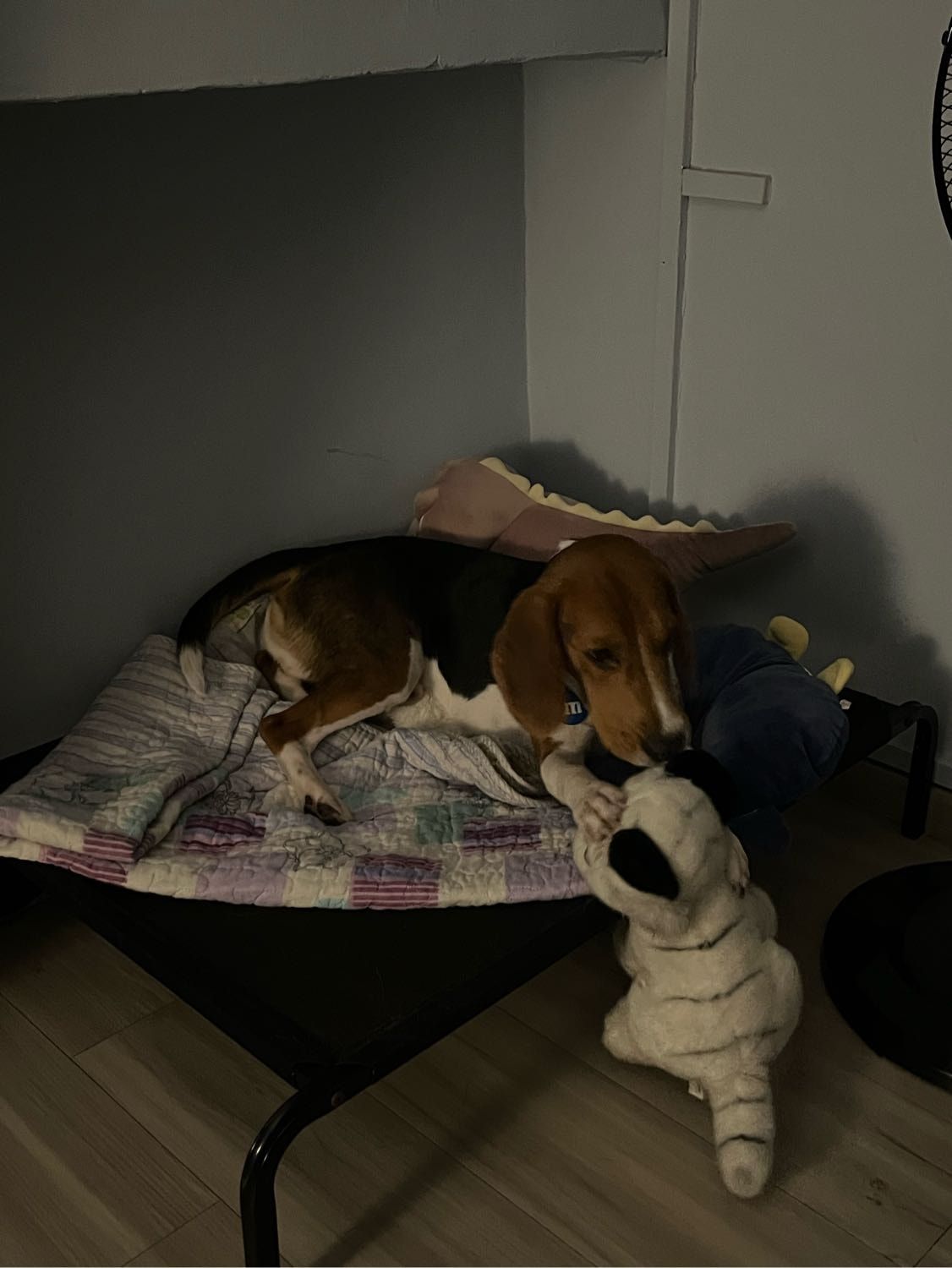 image-8
