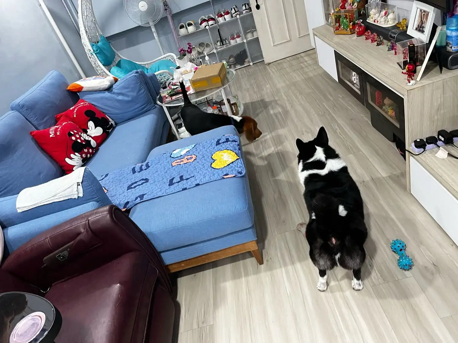 image-48