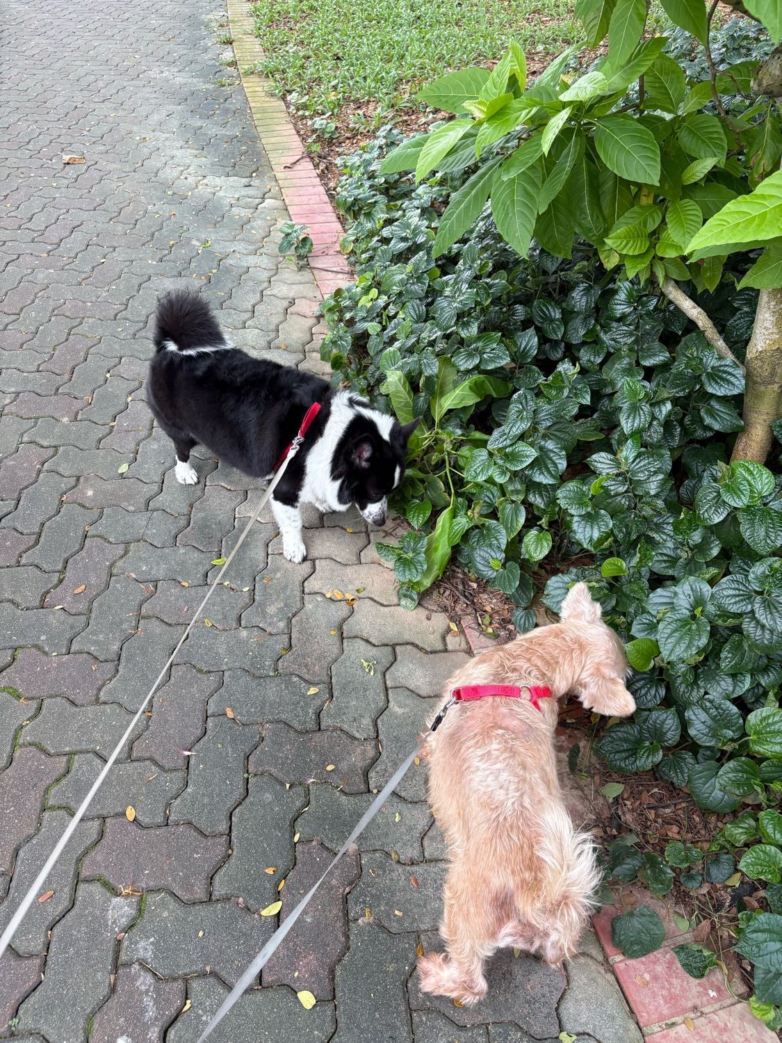 image-28