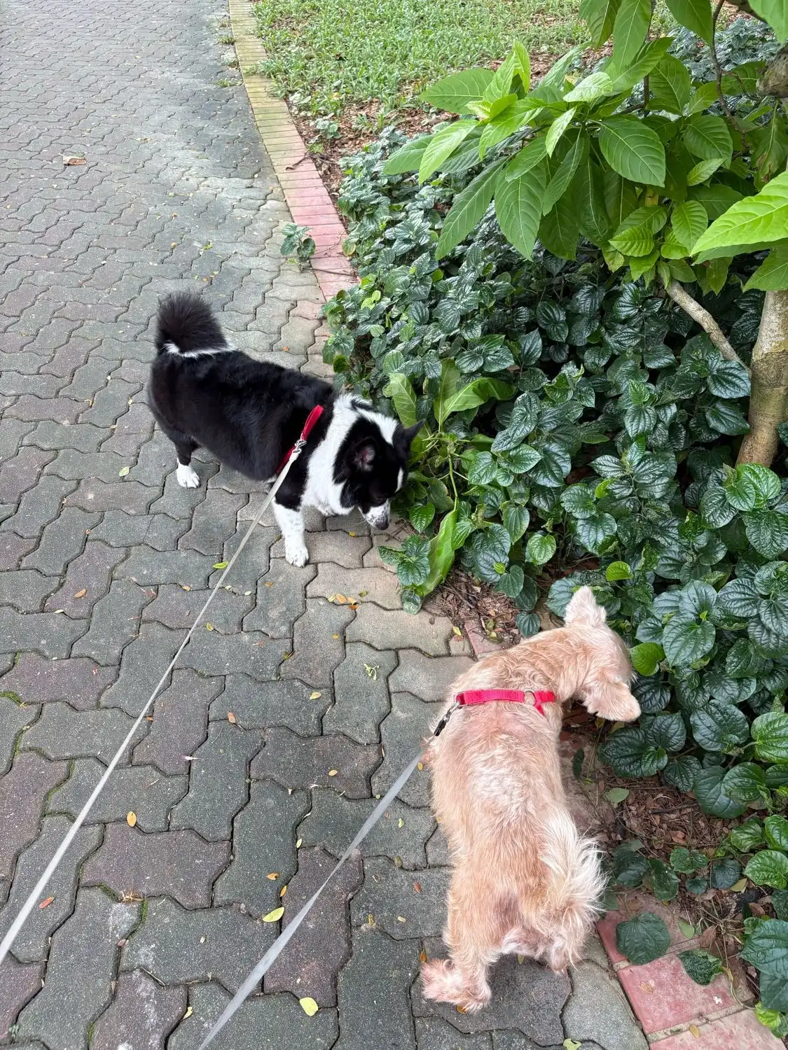 image-28