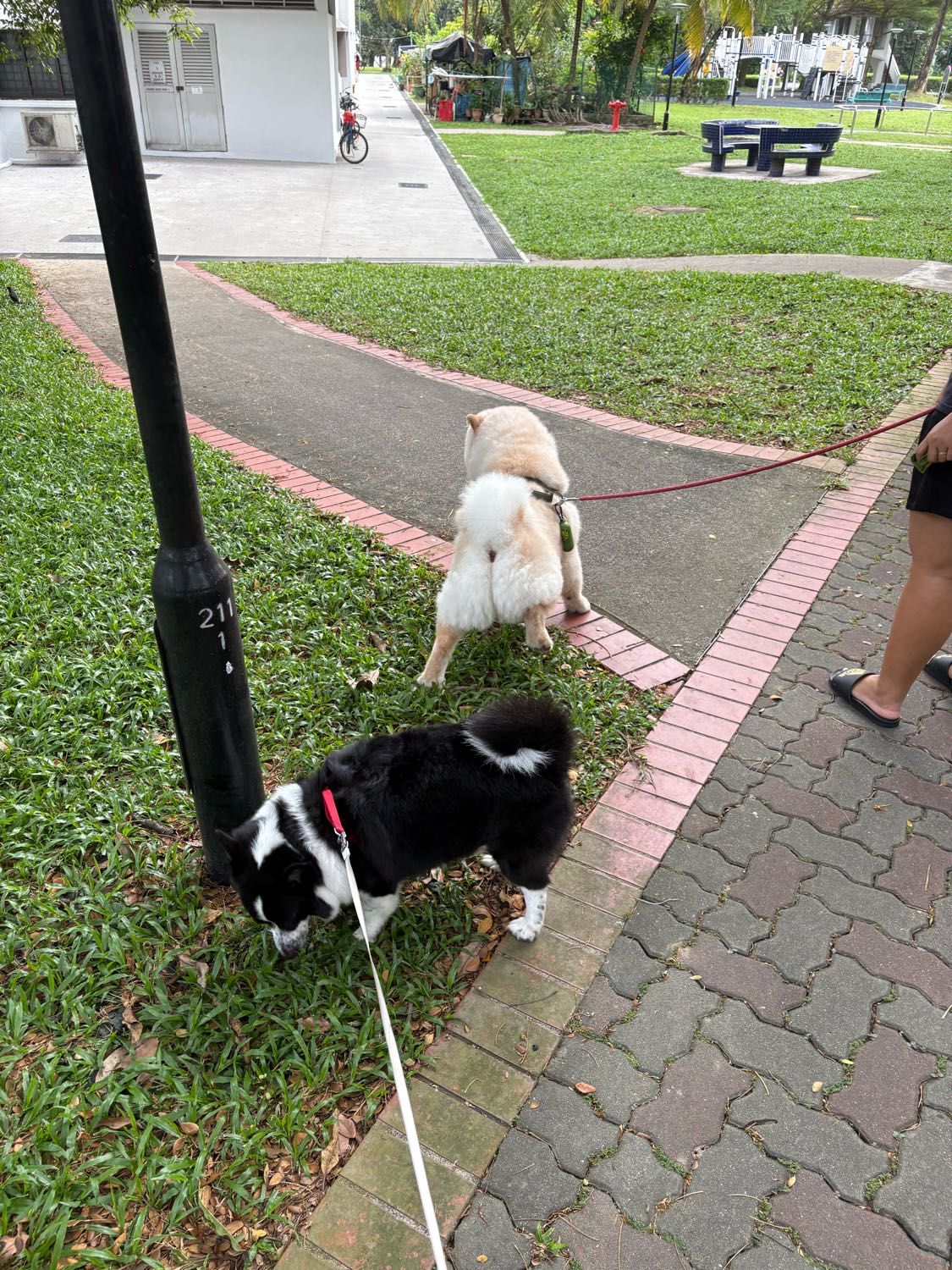 image-33