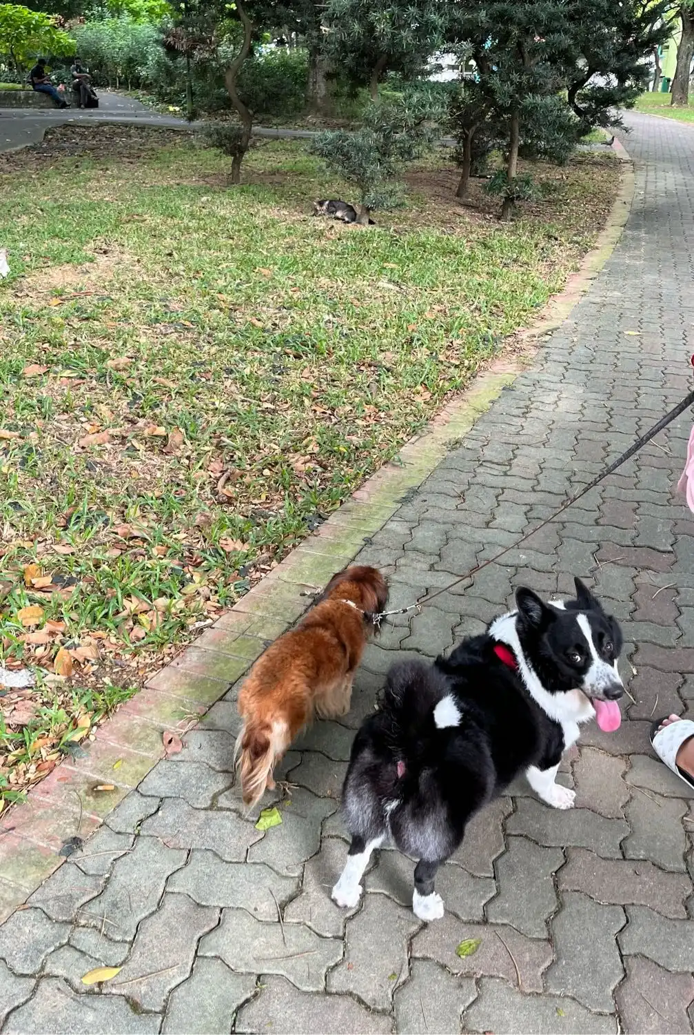 image-11