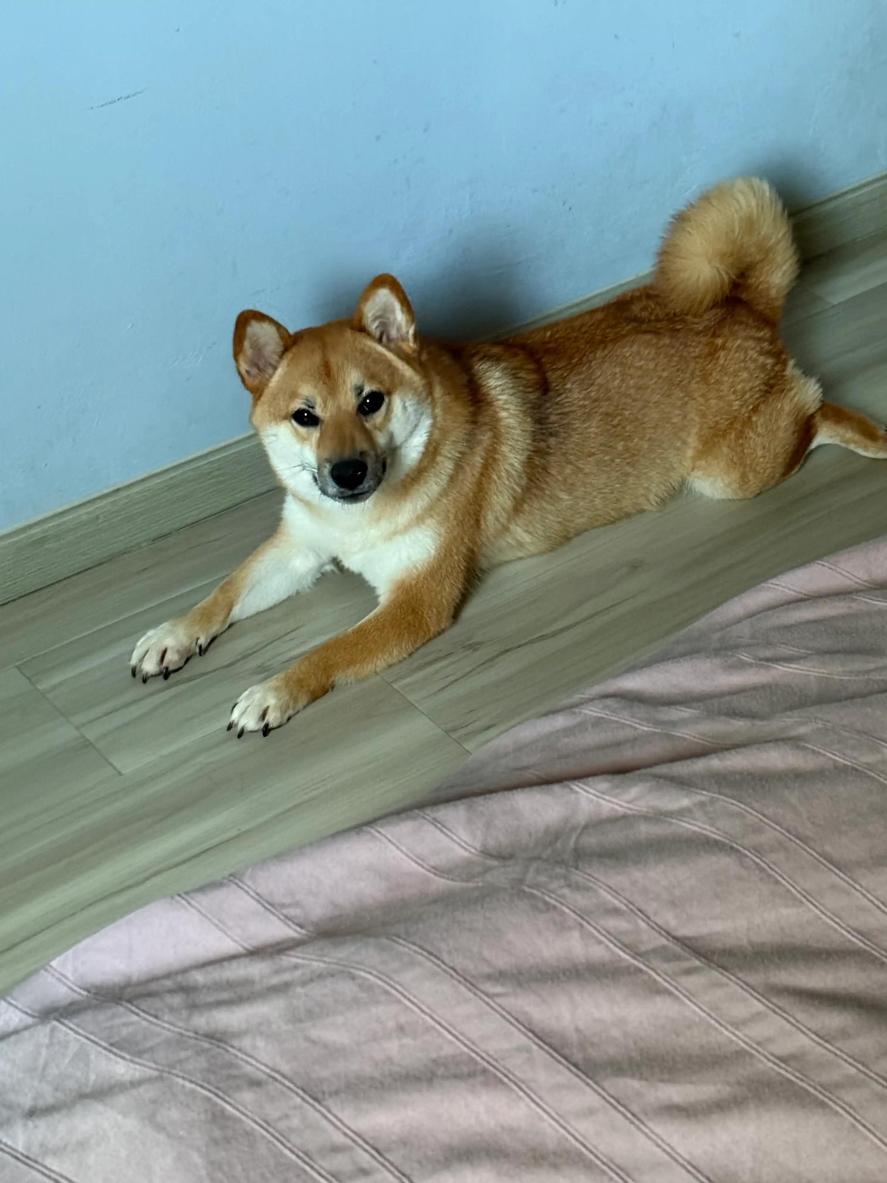 image-48