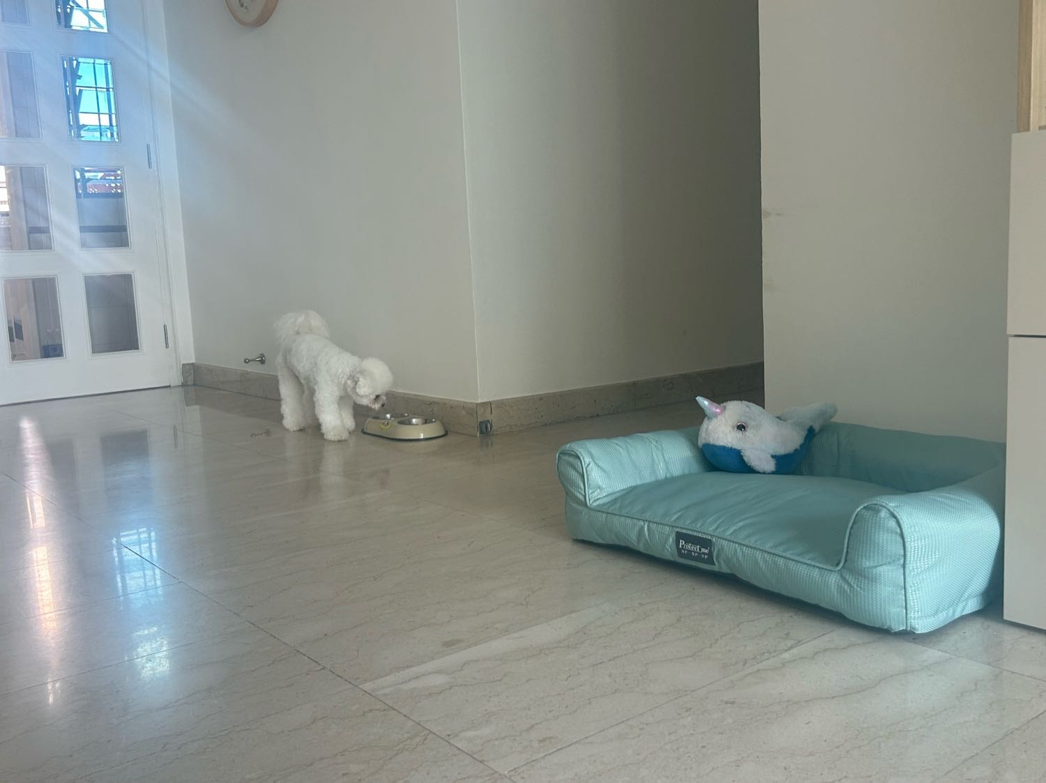 image-6