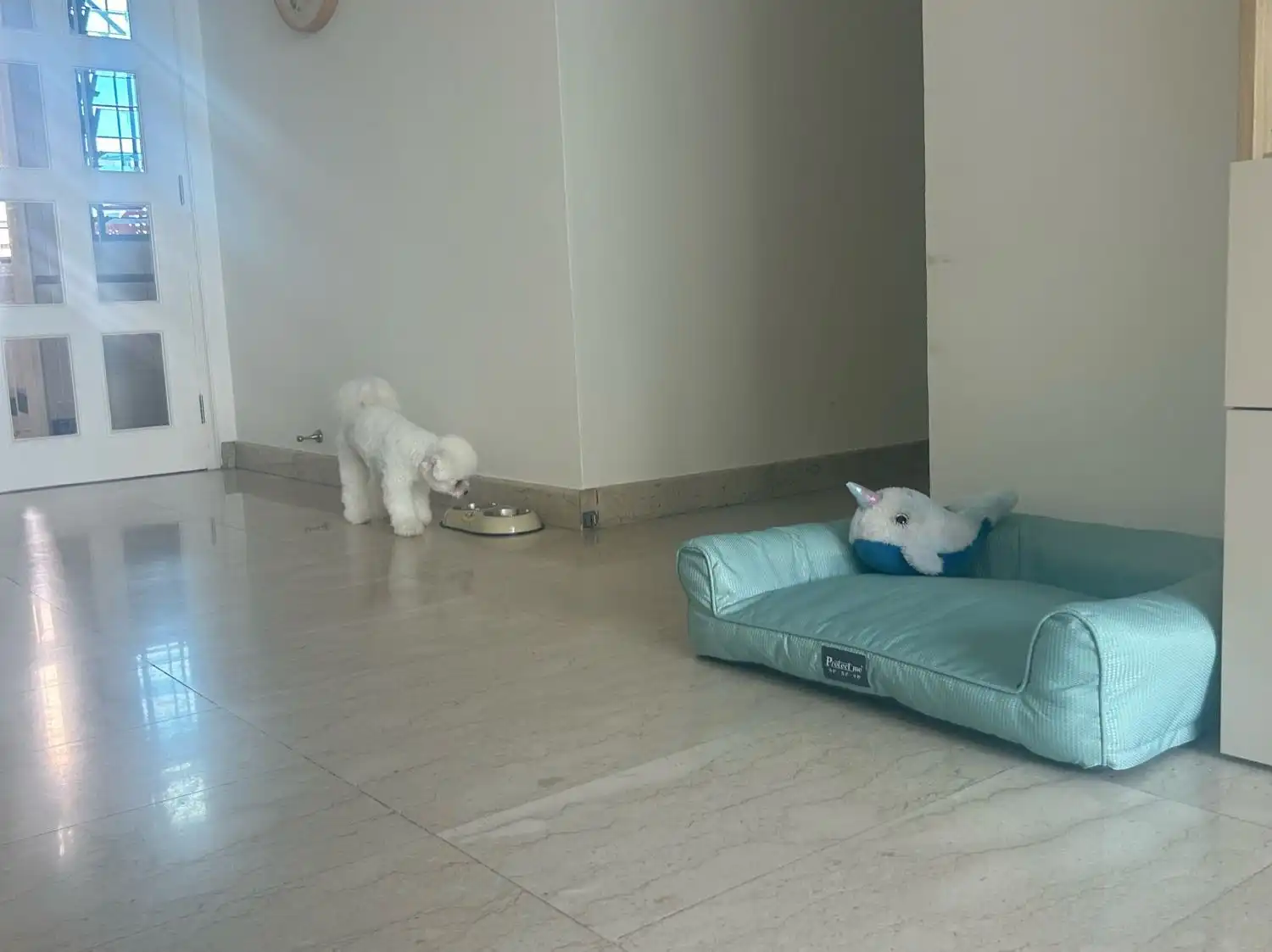 image-6