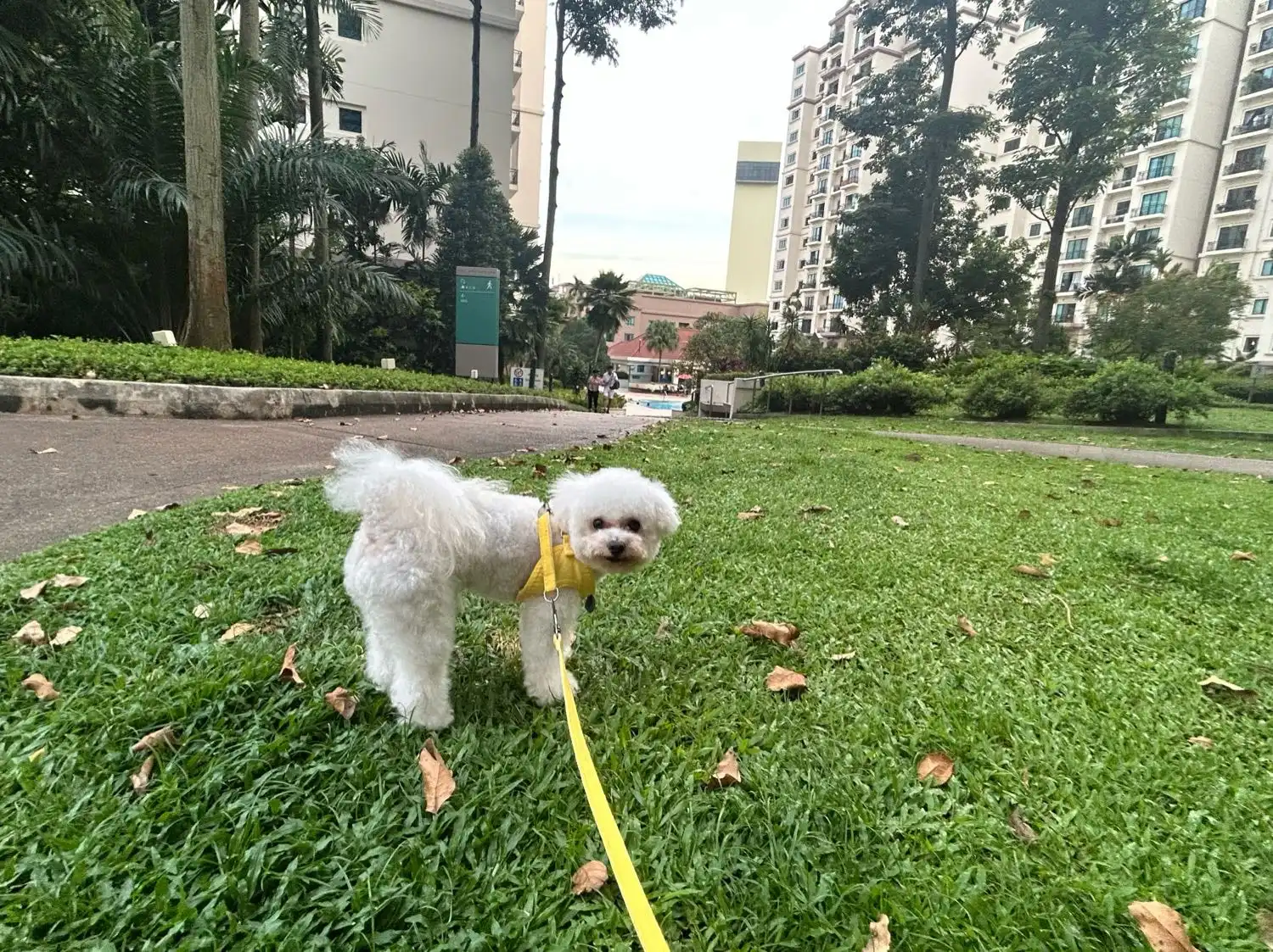 image-10