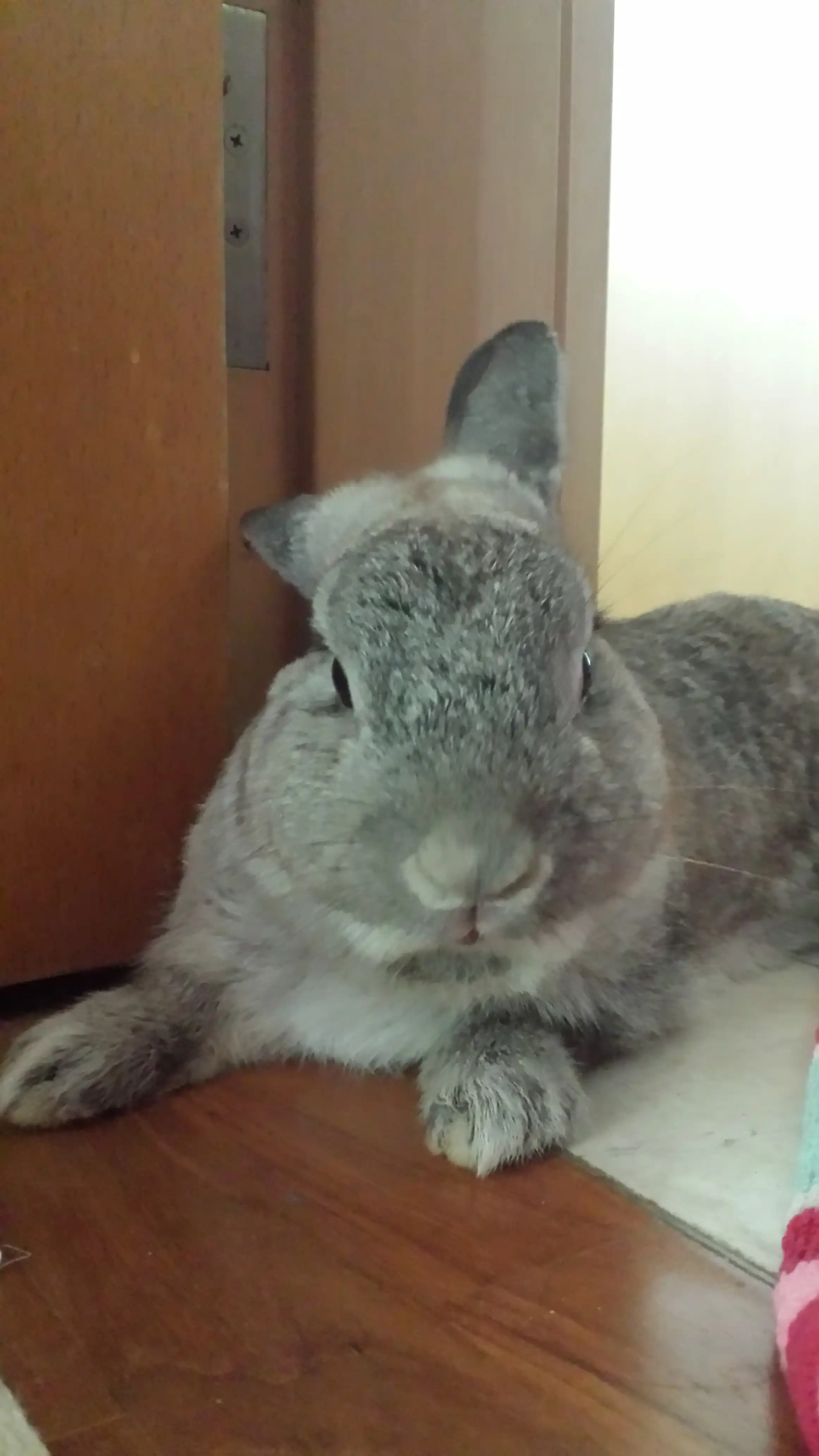 image-5