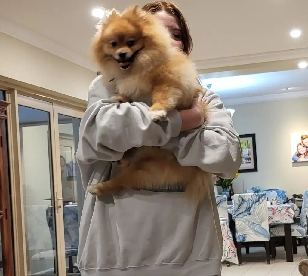image-6