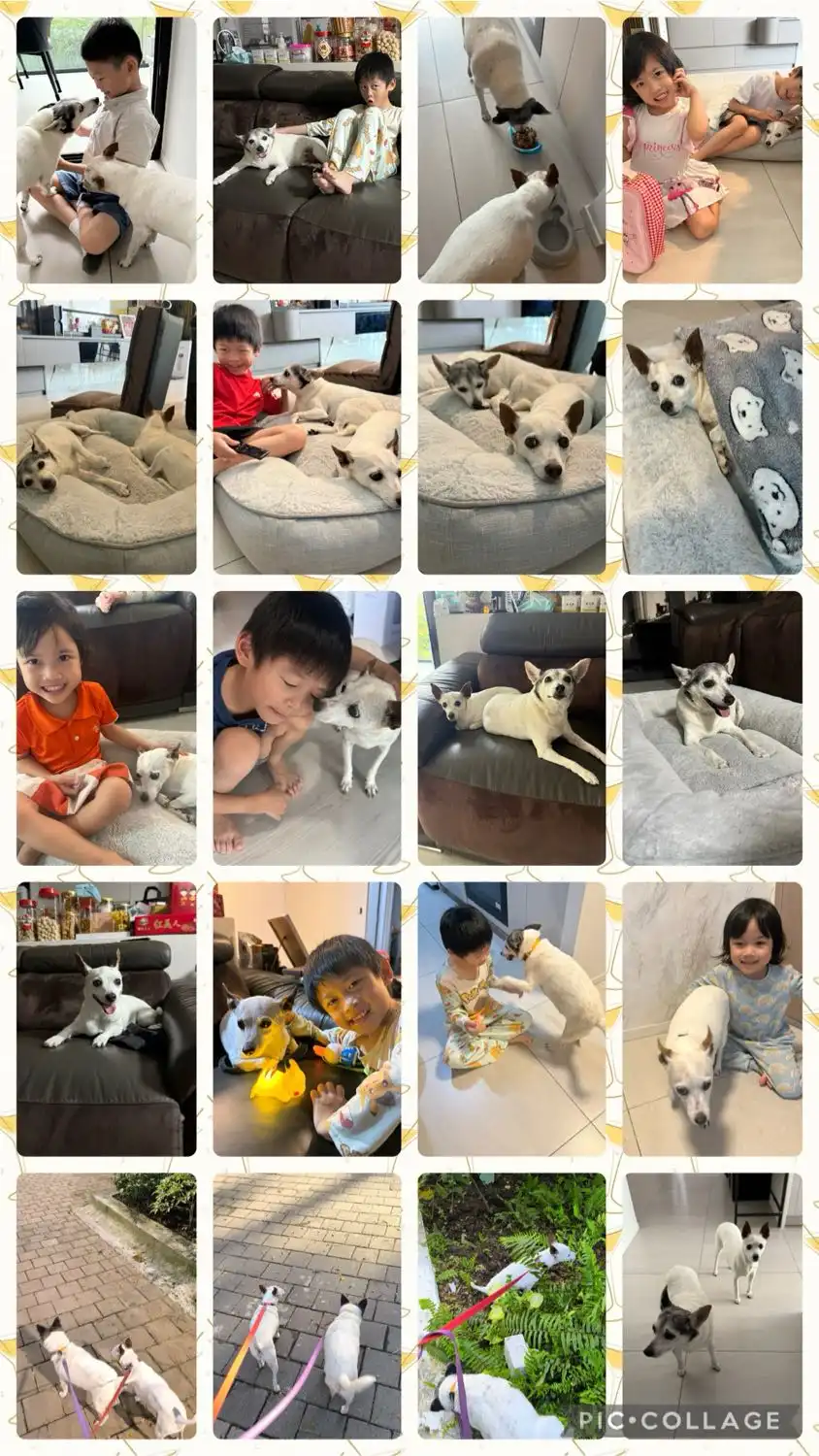 image-21
