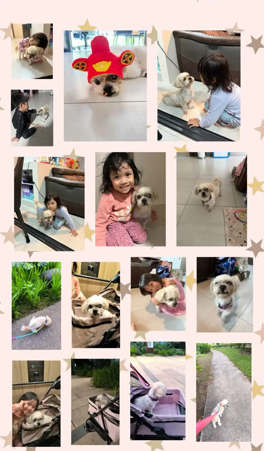 image-25