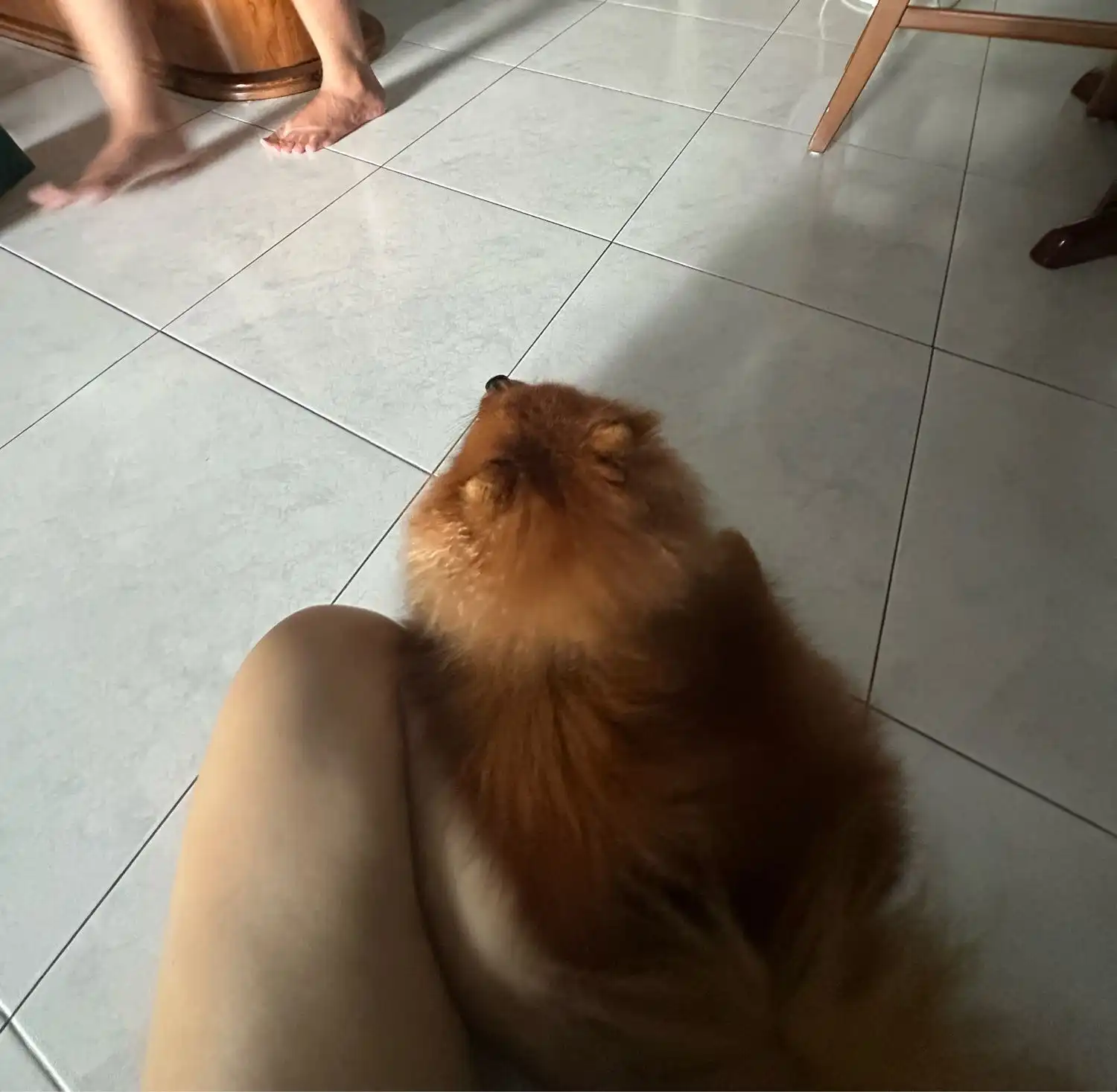 image-6