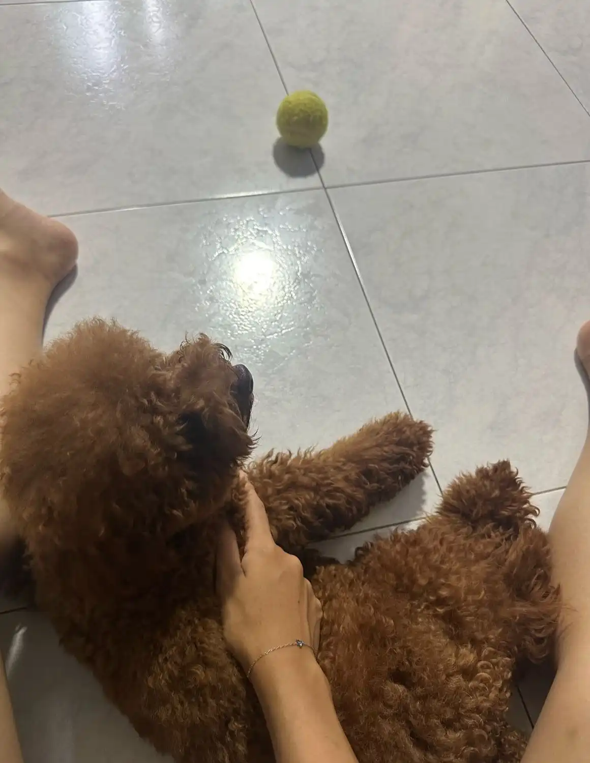 image-10