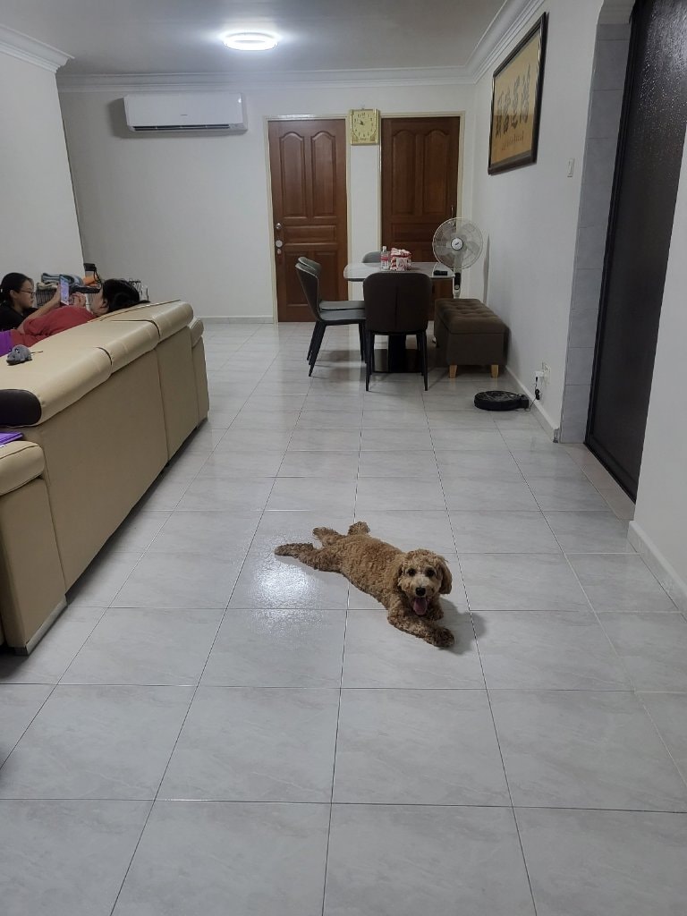 image-7
