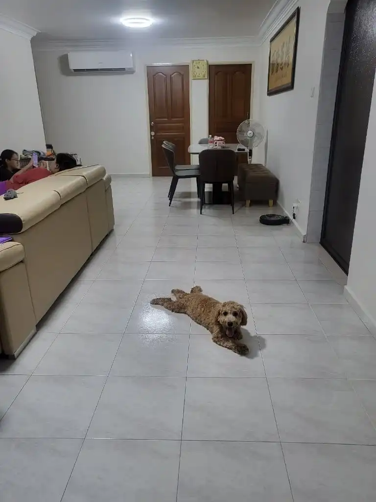 image-7