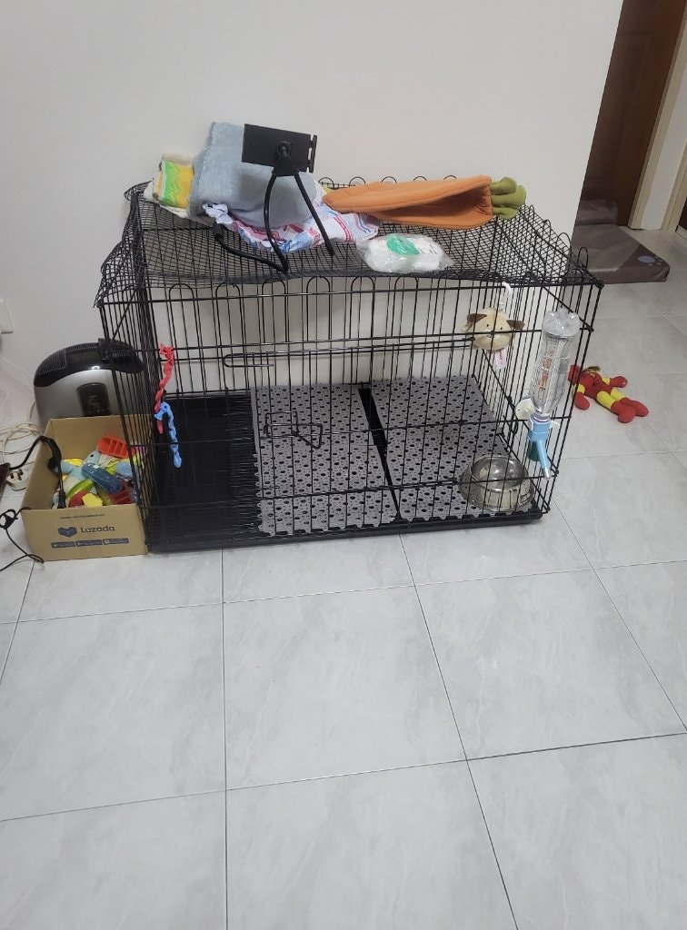 image-8