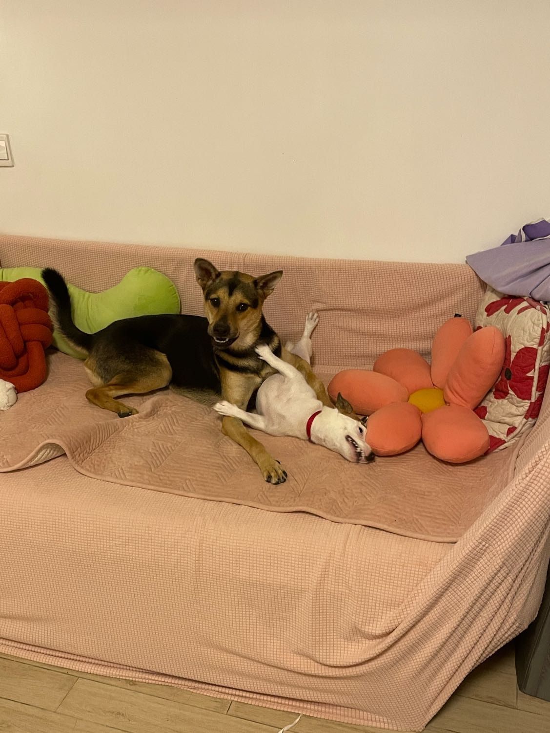 image-4