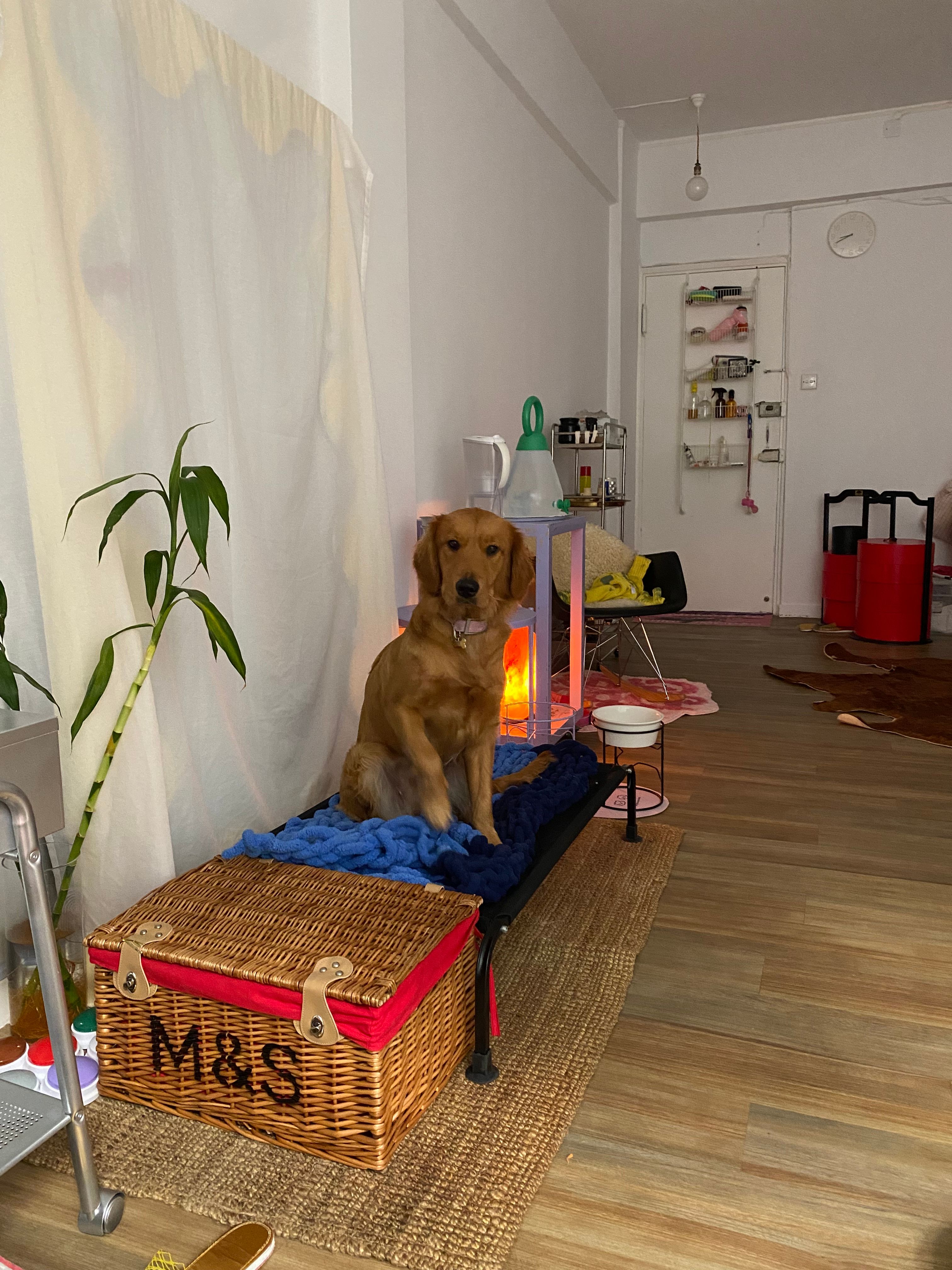 image-34